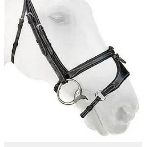 SILVER CROWN picture