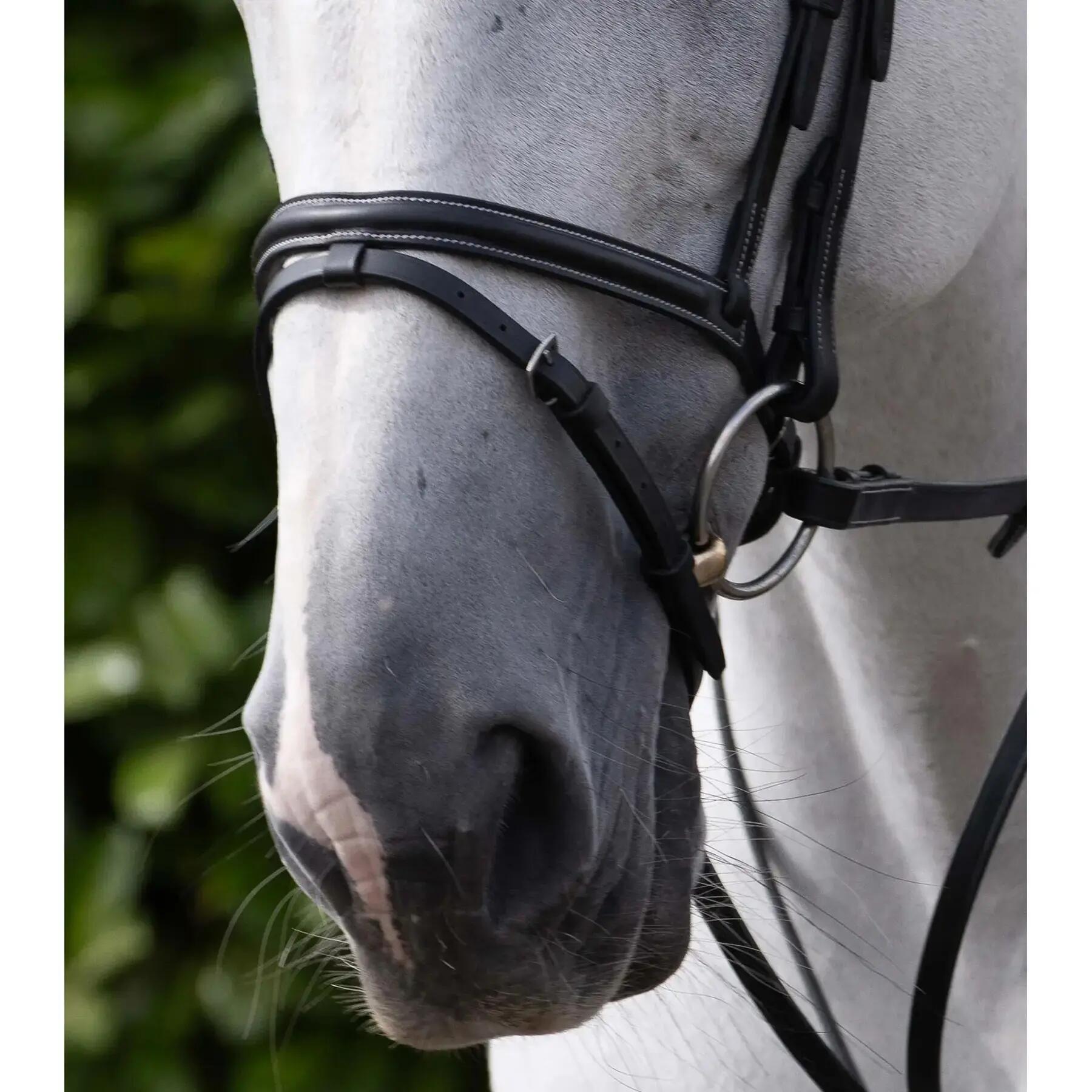 Muserolle cheval Premier Equine 6/6