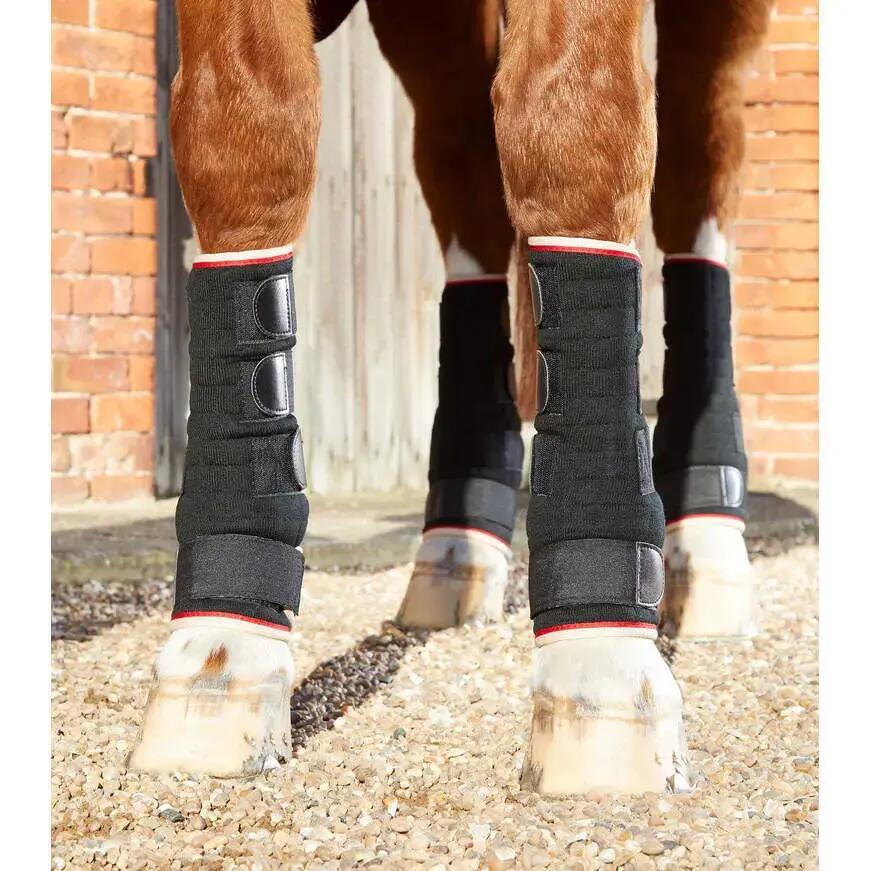 PREMIER EQUINE picture