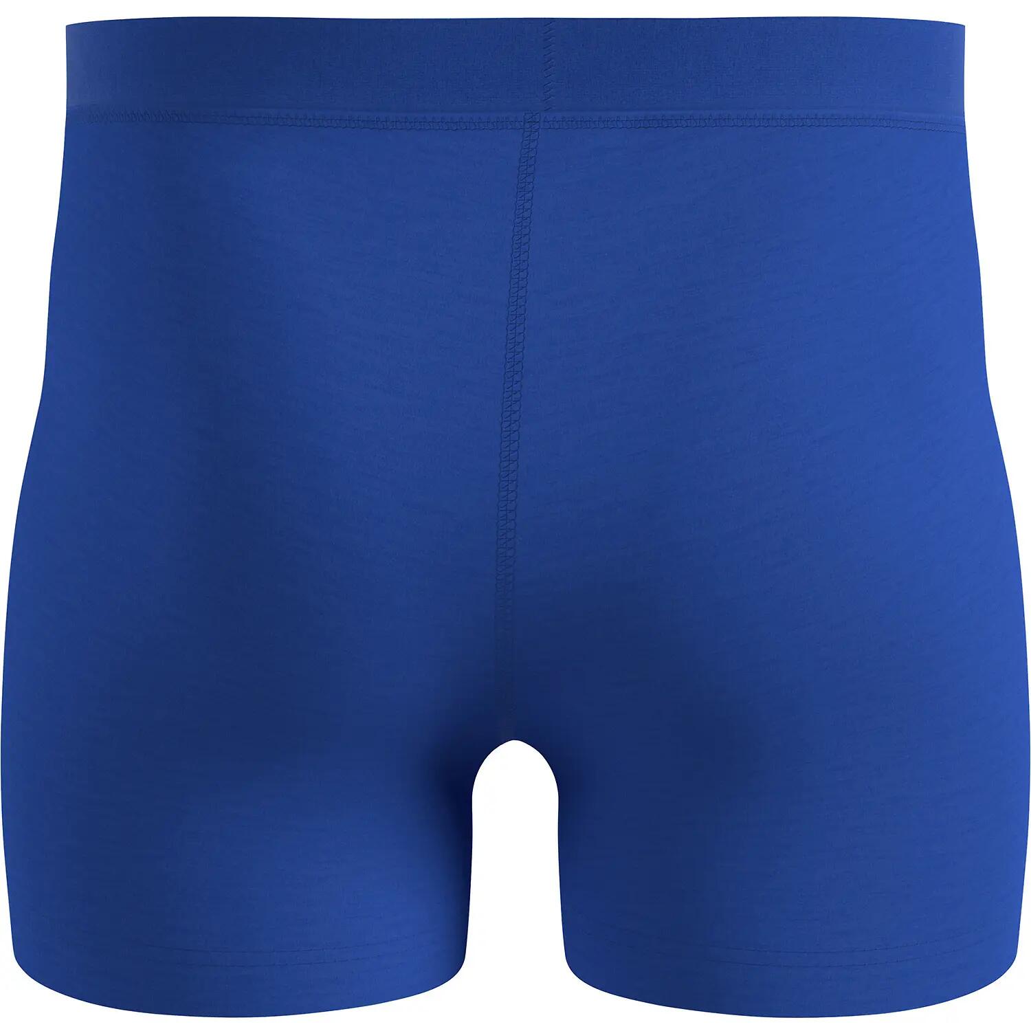 Herren Unterhose Merino Dry 3/4