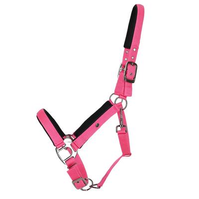 Halster voor paarden qhp deluxe