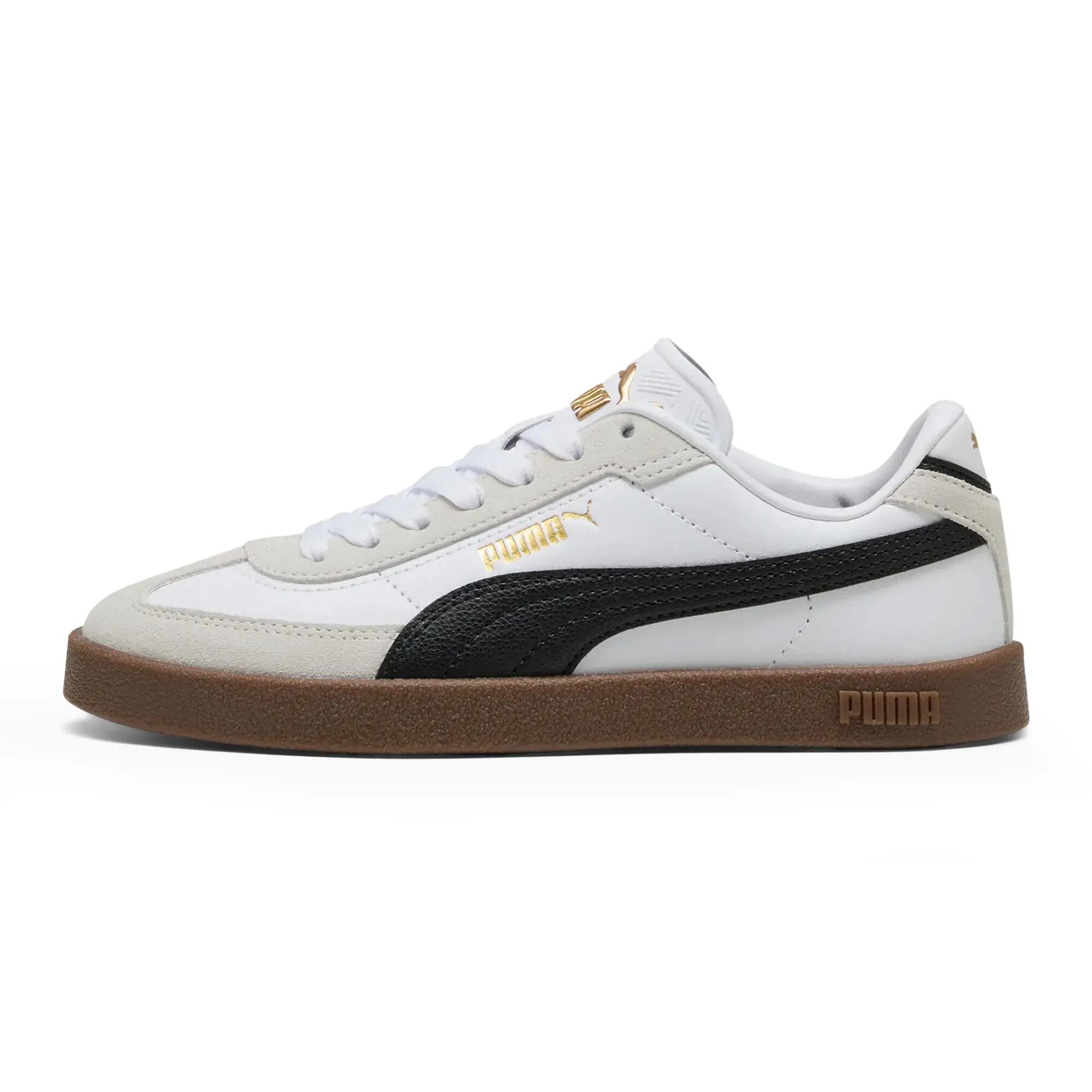 PUMA picture