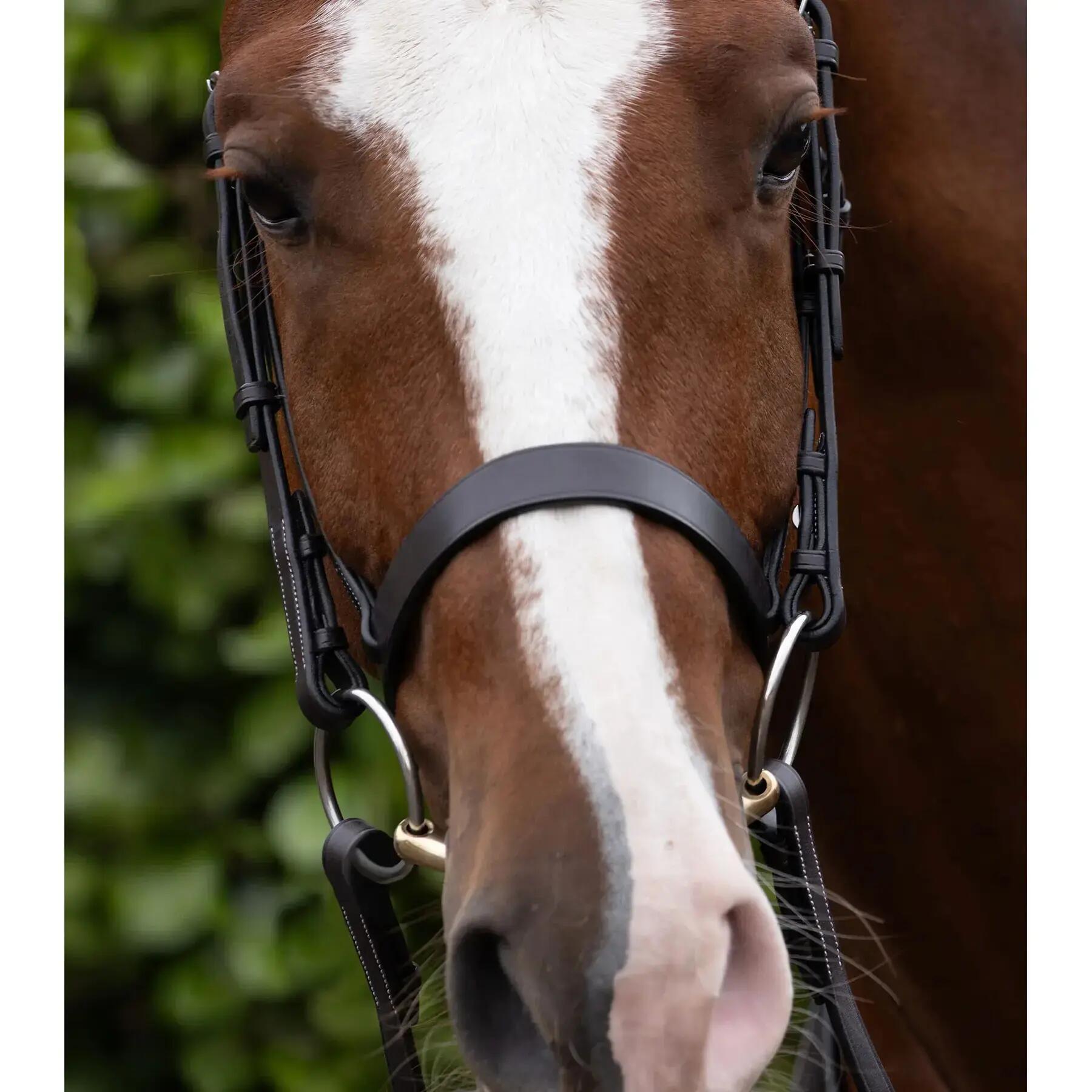 Muserolle cheval Premier Equine Hunter Cavesson 4/4