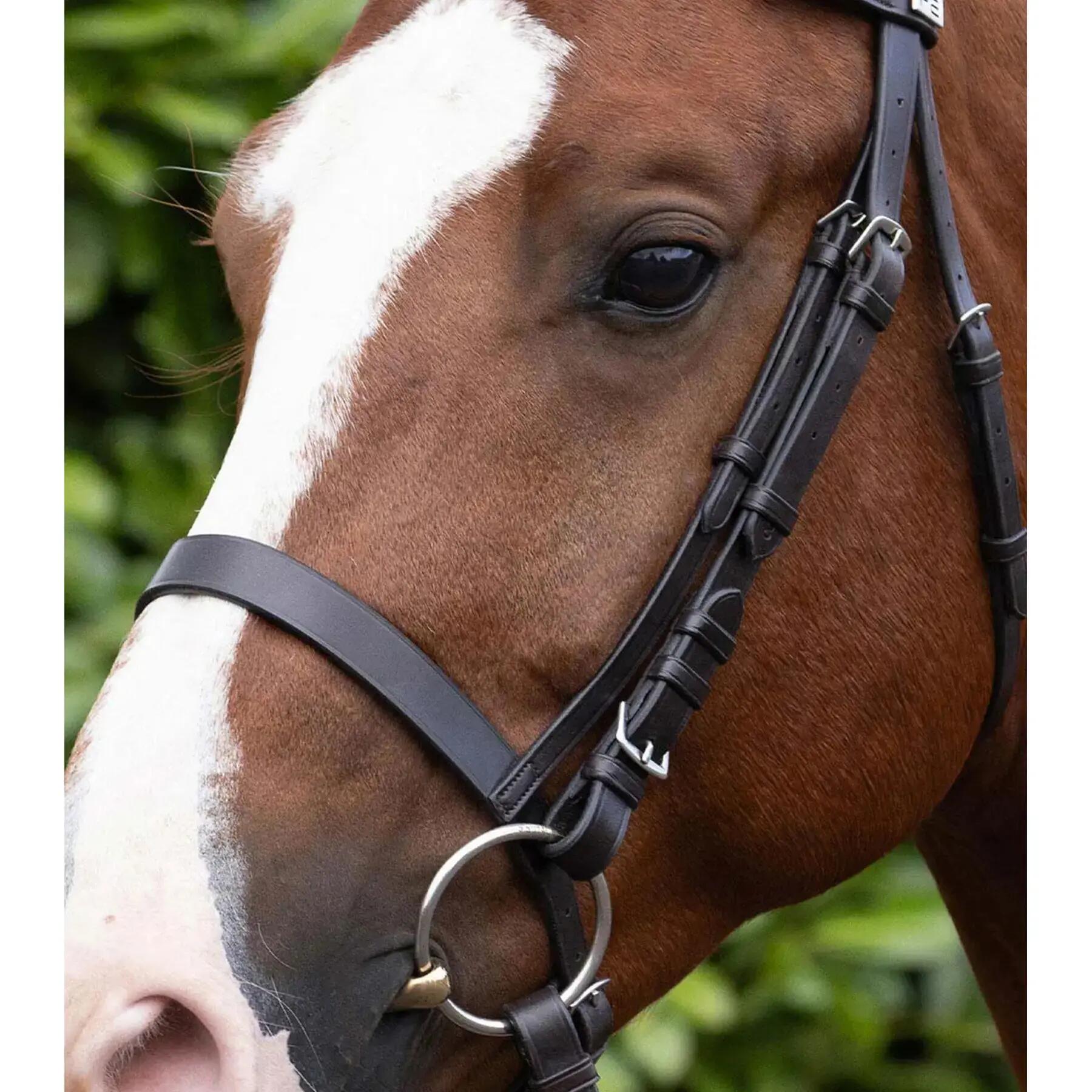 Muserolle cheval Premier Equine Caveson 4/4