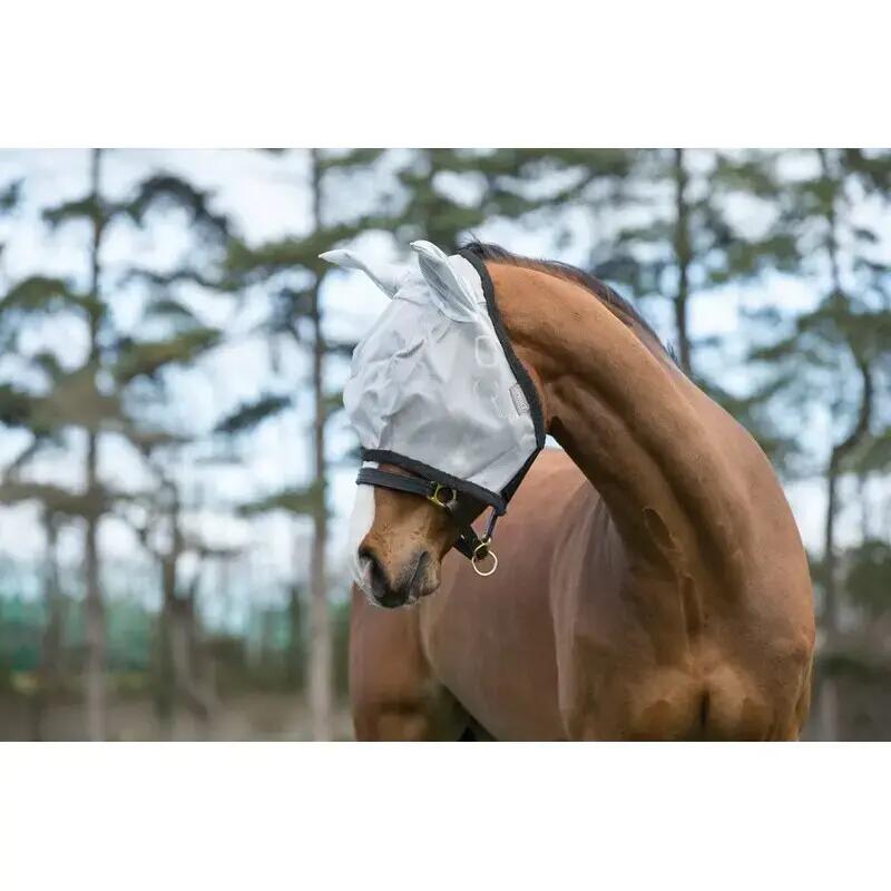 HORSEWARE IRELAND picture