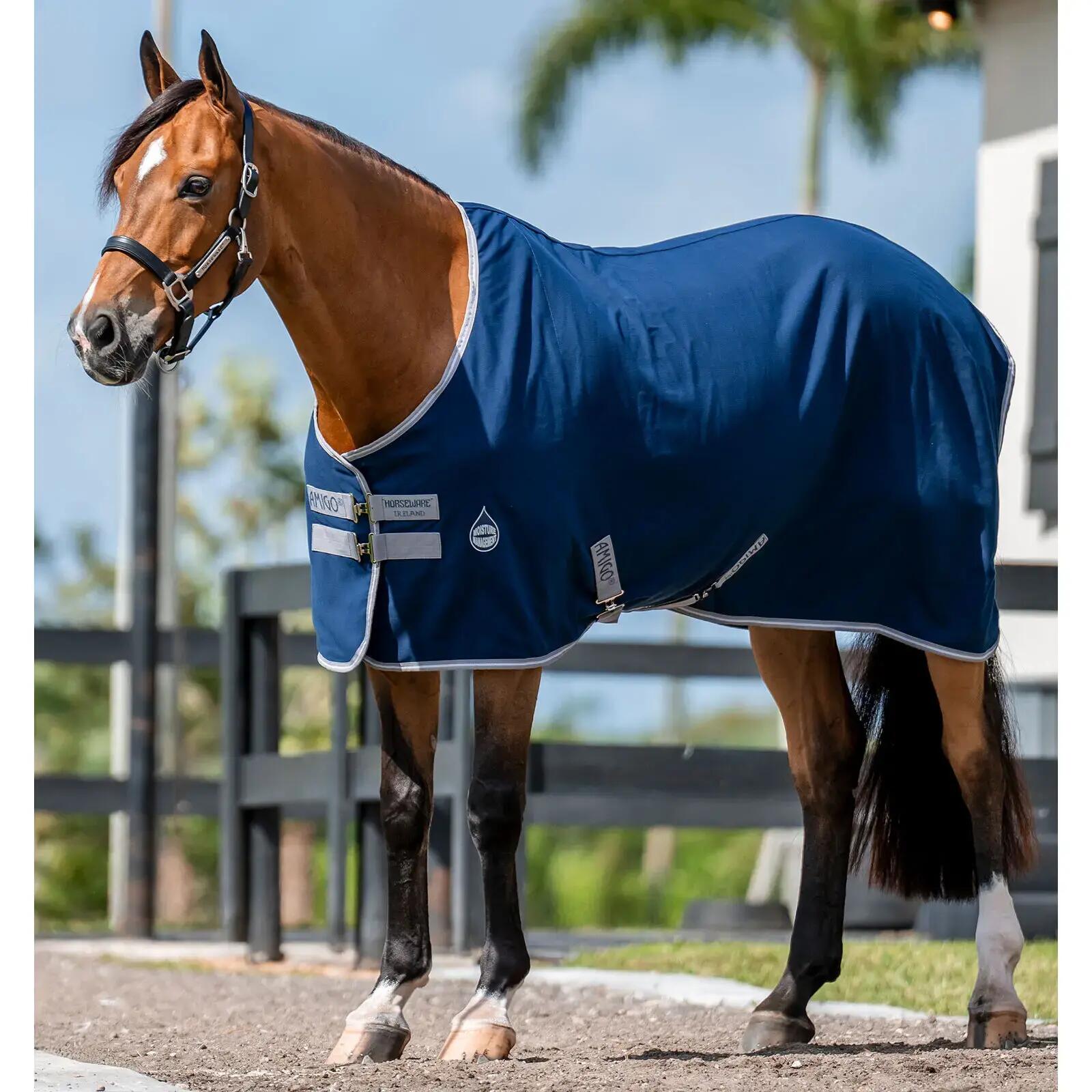Coperta da box per cavalli Horseware Amigo 2/2