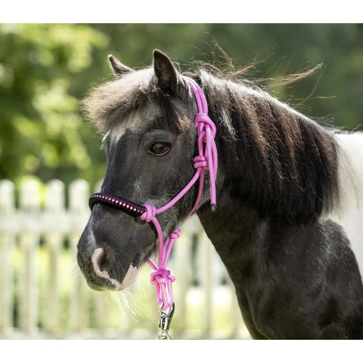 Licol en corde nouée pierres scintillantes pour cheval USG 2/2
