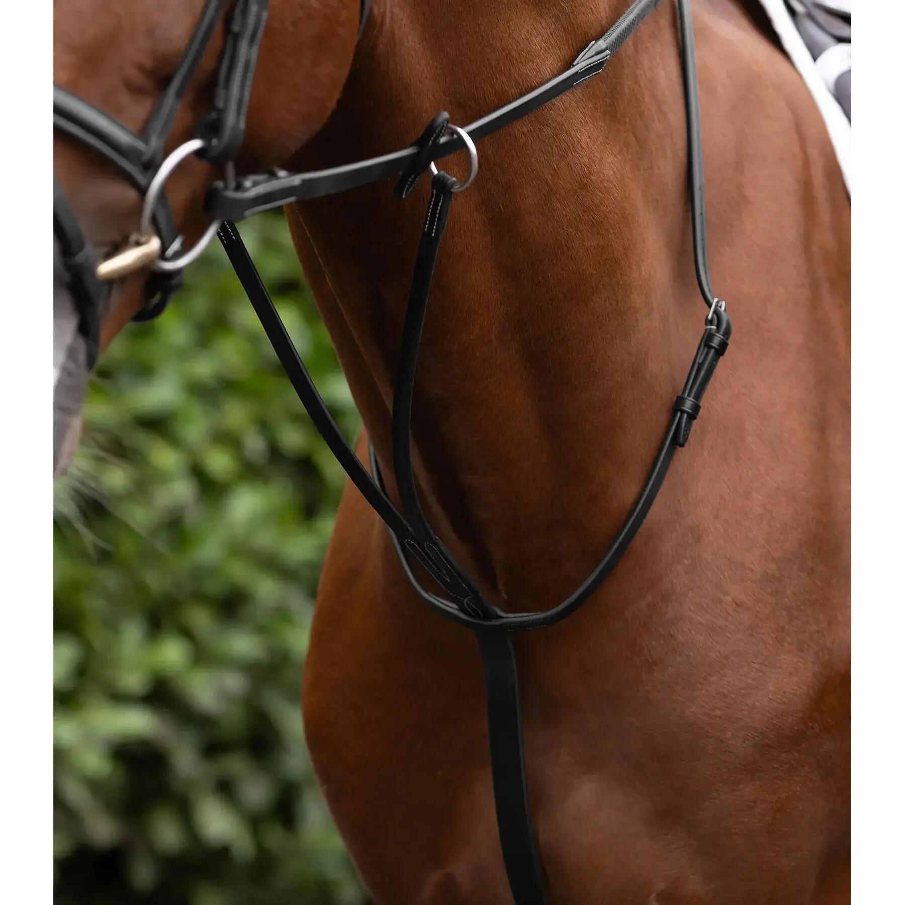 PREMIER EQUINE picture