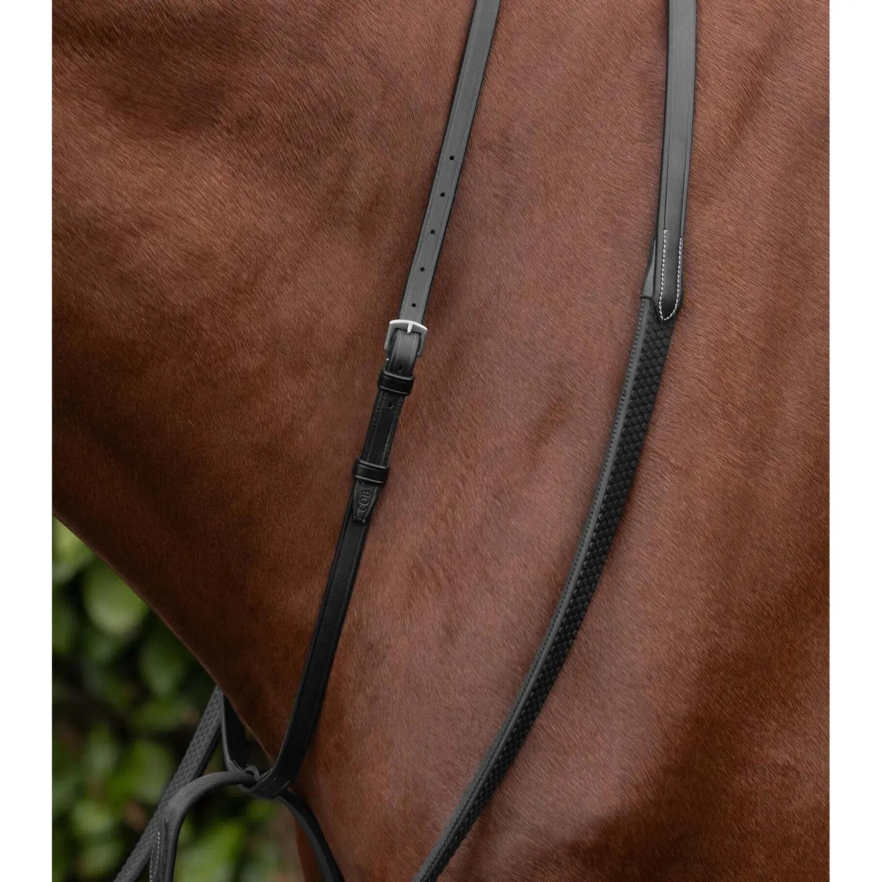 Martingale voor paarden Premier Equine European Running 2/4