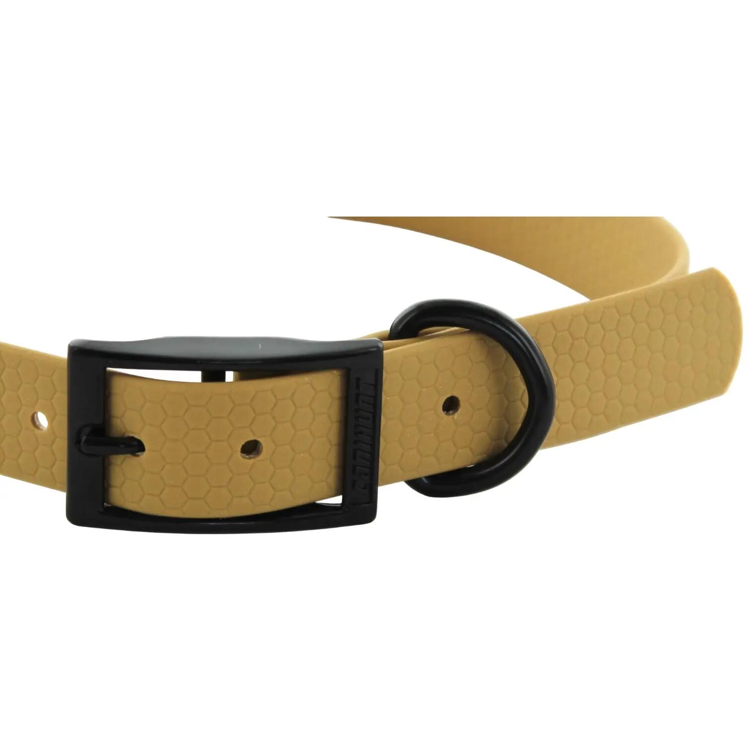 COLLIER CHIEN CANIHUNT MADE IN FRANCE HEXA 25mm GOLD 2/5