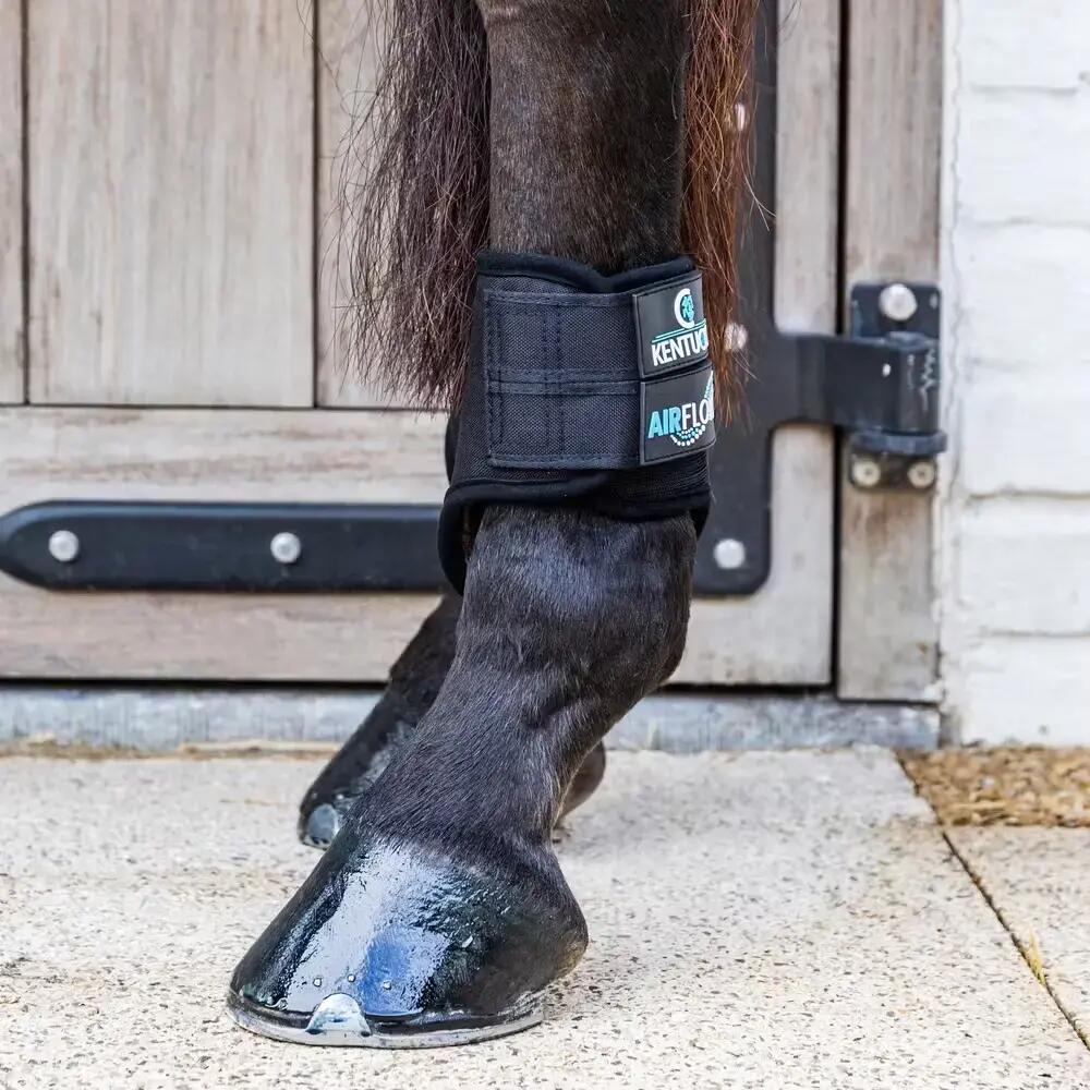 Guêtres postérieurs pour cheval courtes Kentucky 3D Air Flow 7/7