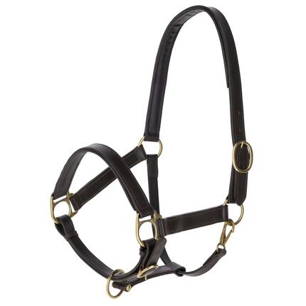Licol pour cheval en cuir Kerbl Eco