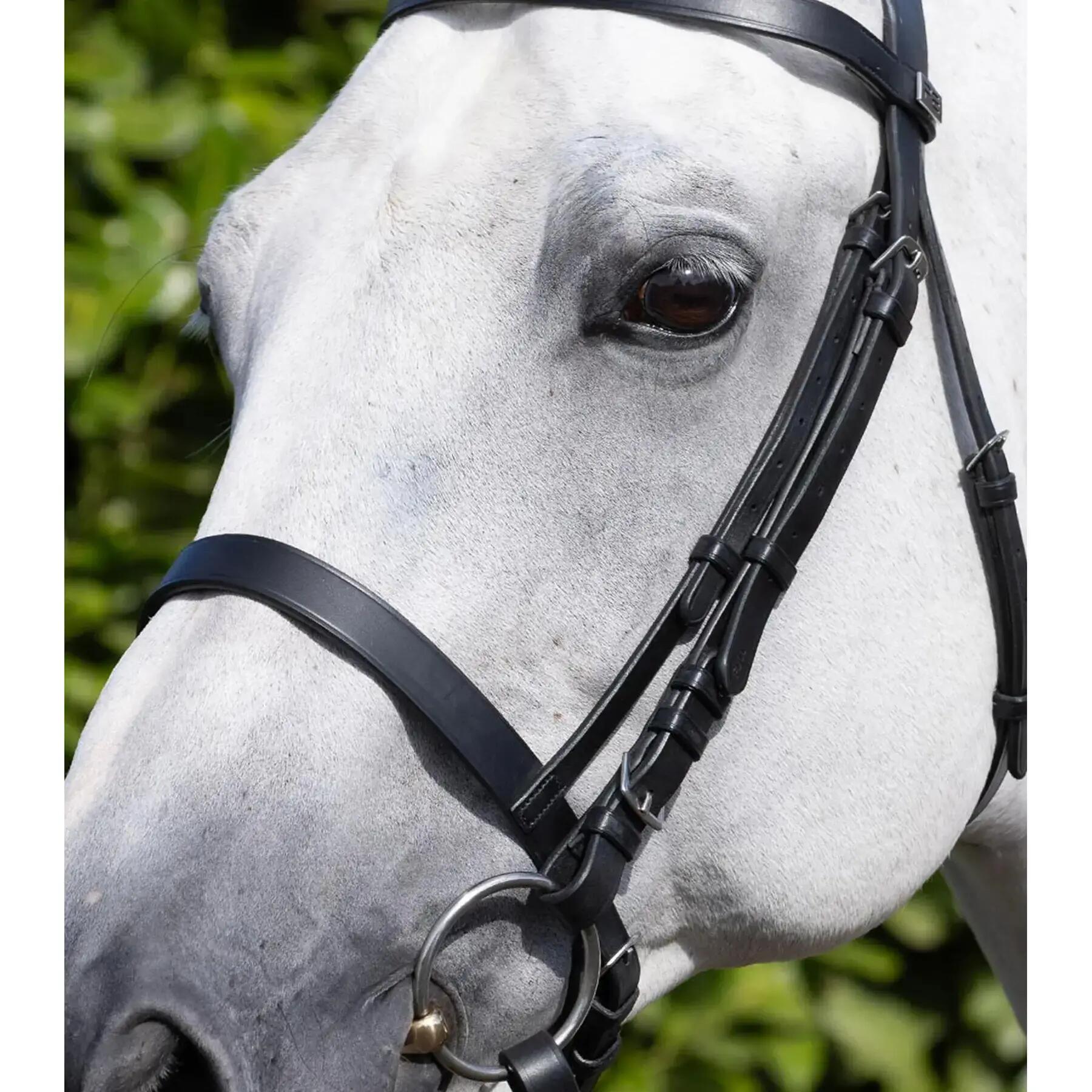Muserolle cheval Premier Equine Caveson 4/4