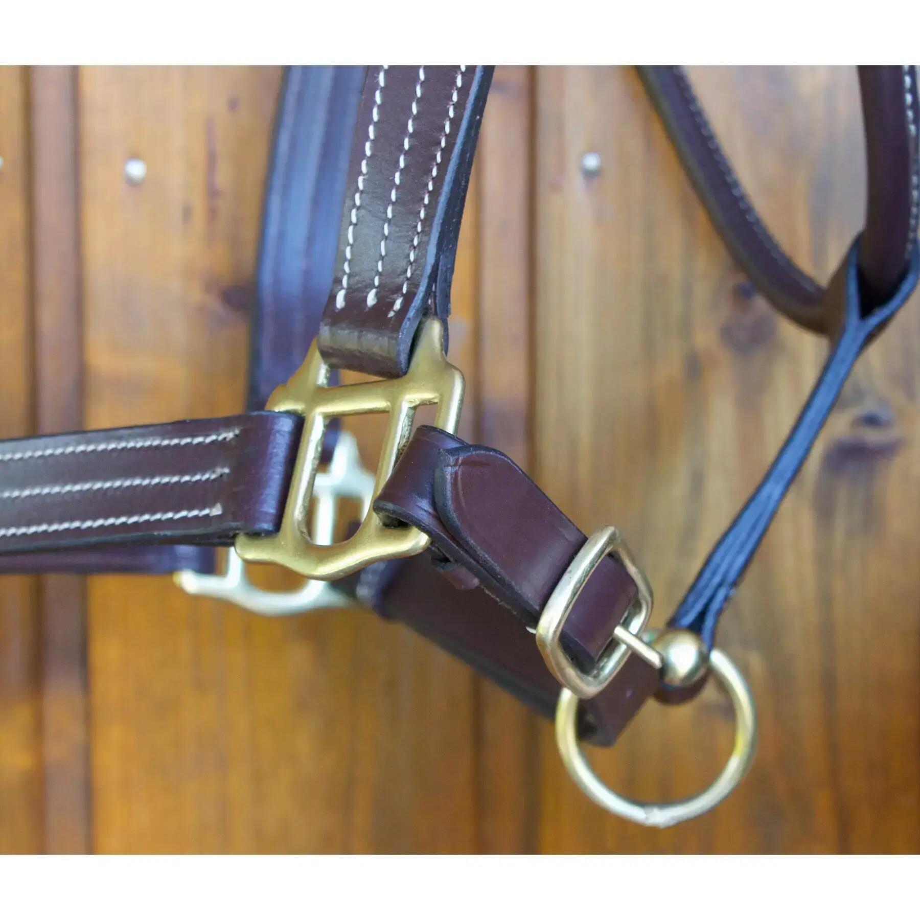 Licol pour cheval en cuir T de T Trippled Stiched 2/2
