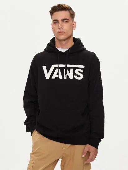 VANS picture