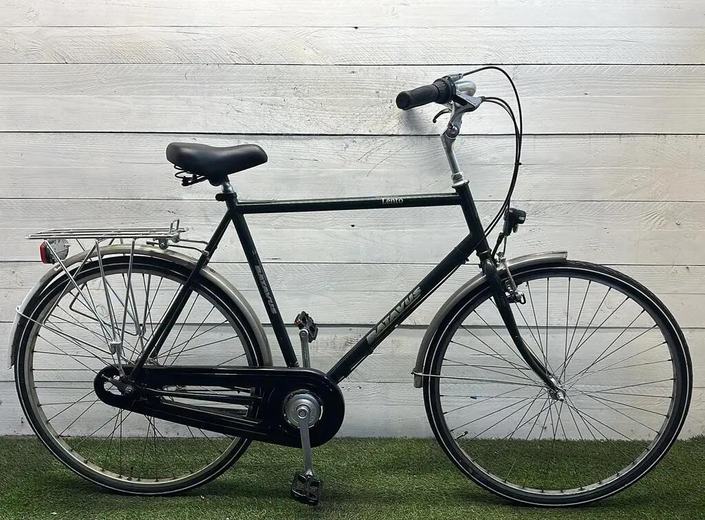BATAVUS picture