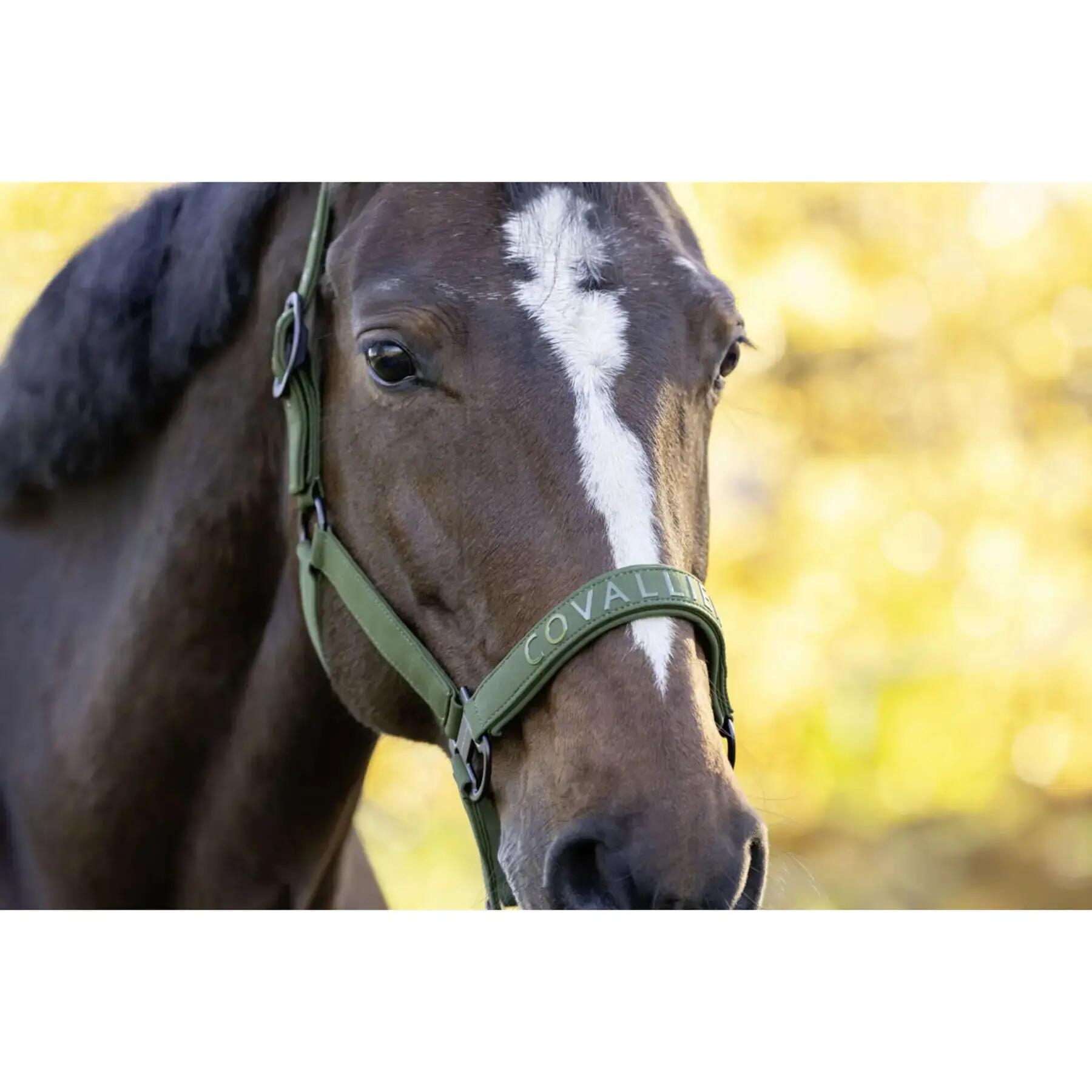 Fellhalfter Covalliero 3/5