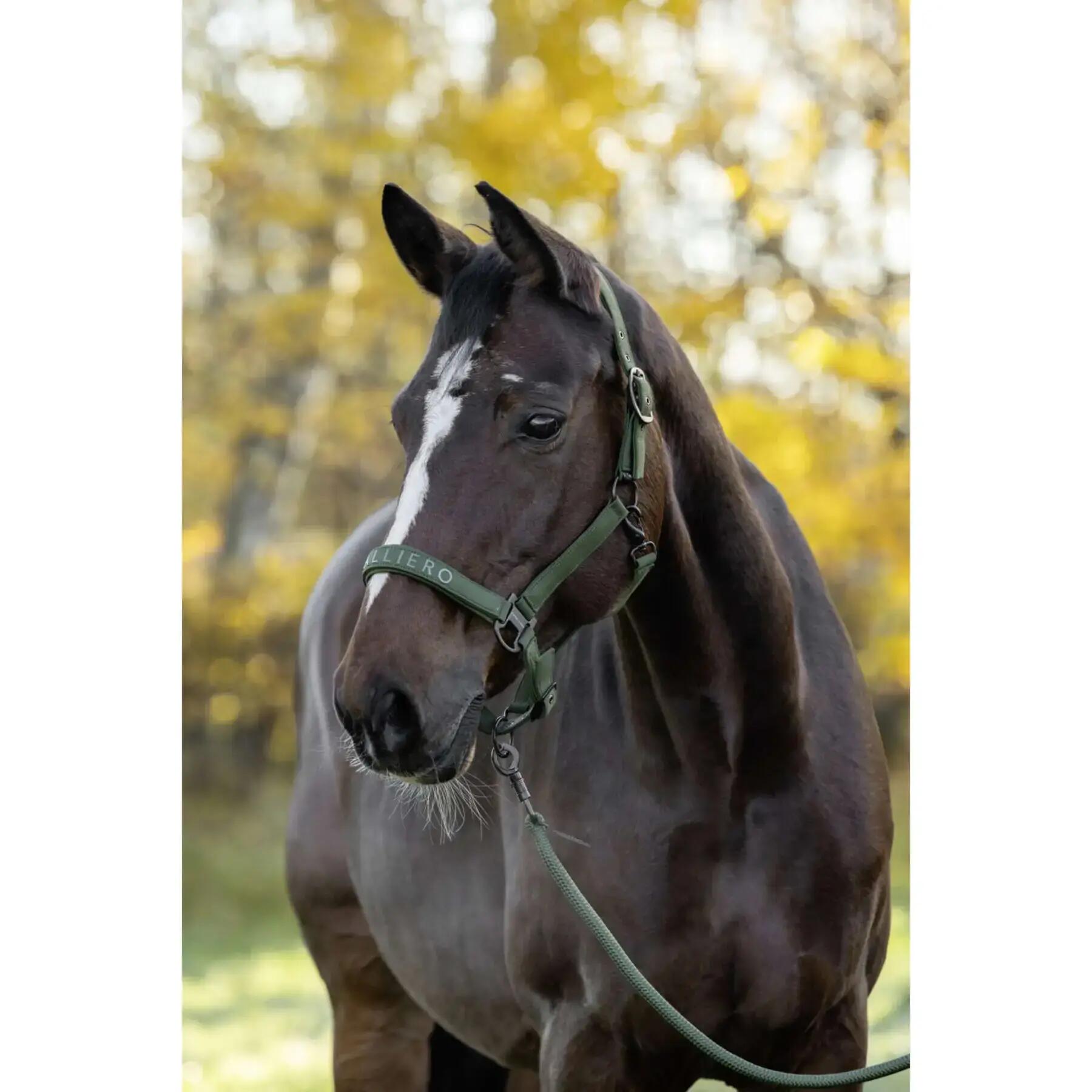 Fellhalfter Covalliero 2/5