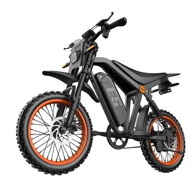 Volwassen e5 woon-werk elektrische fiets: 14" band