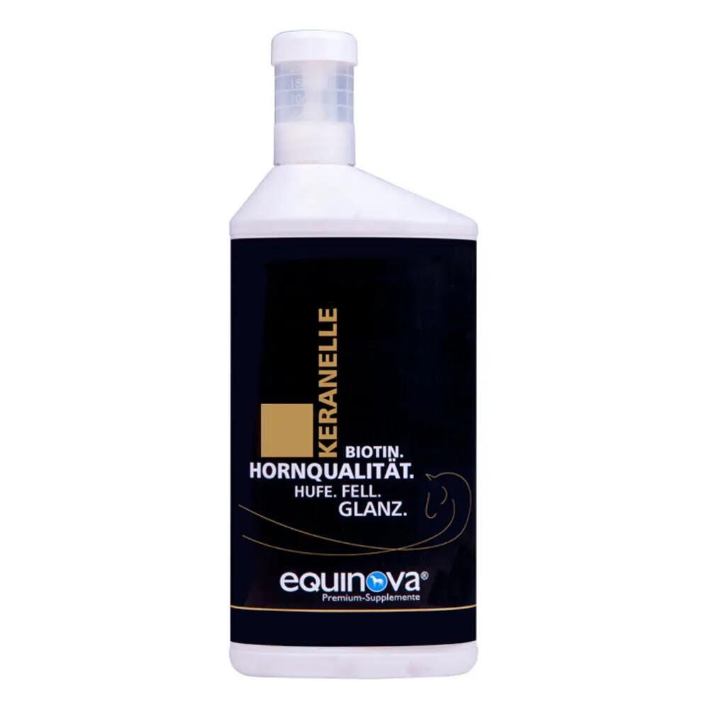 EQUINOVA picture