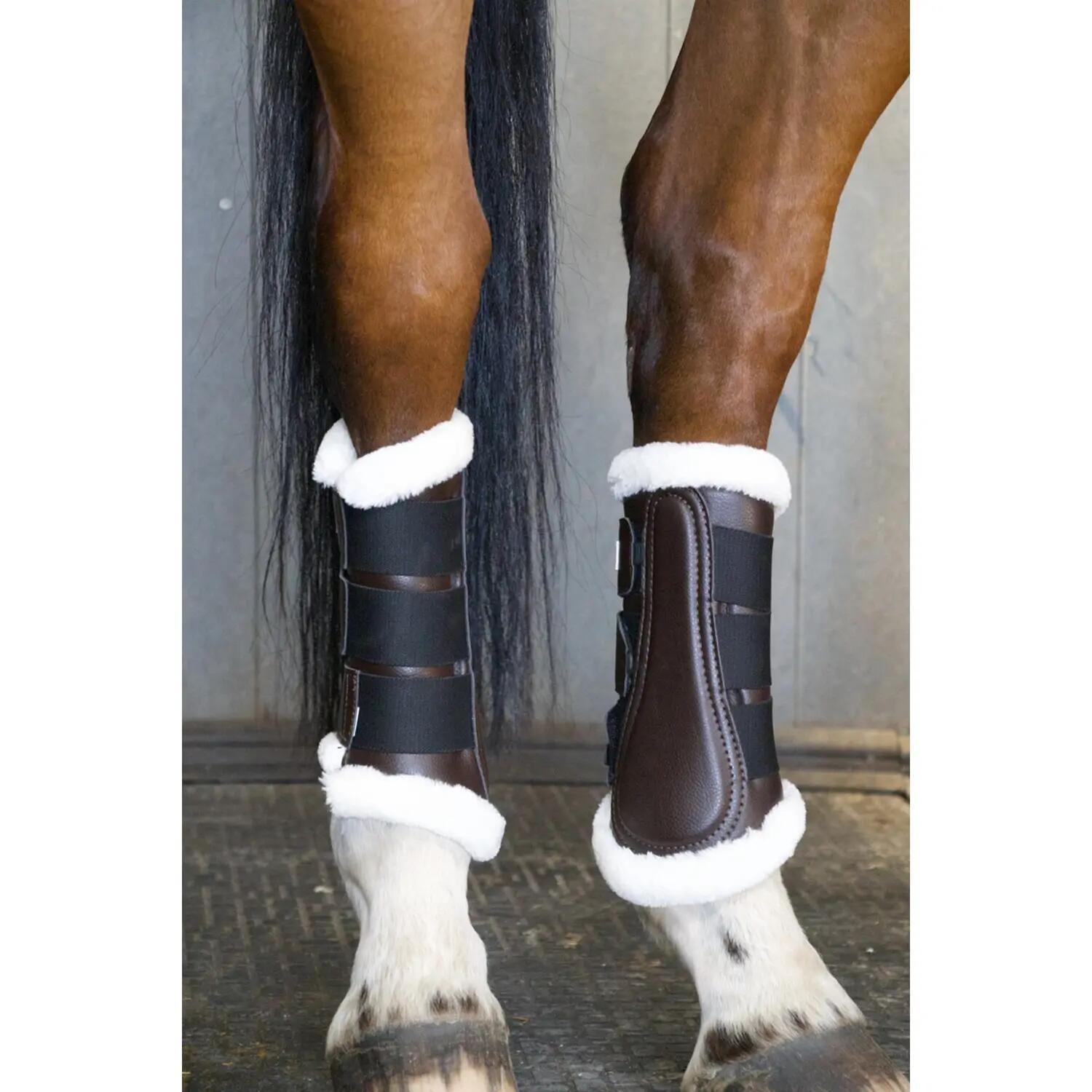 Guêtres pour cheval de dressage antérieurs T de T Training 22 5/5
