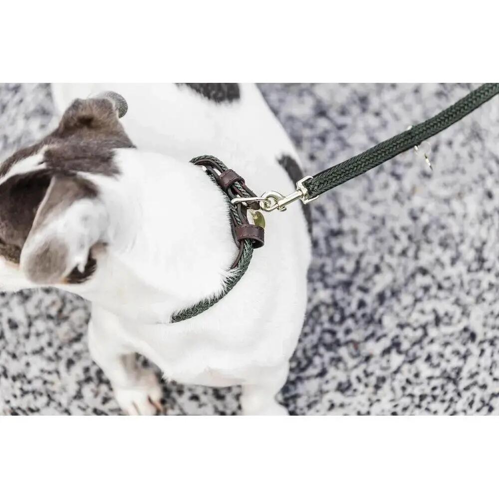 Hundeleine aus geflochtenem Nylon Kentucky 200 cm 3/3