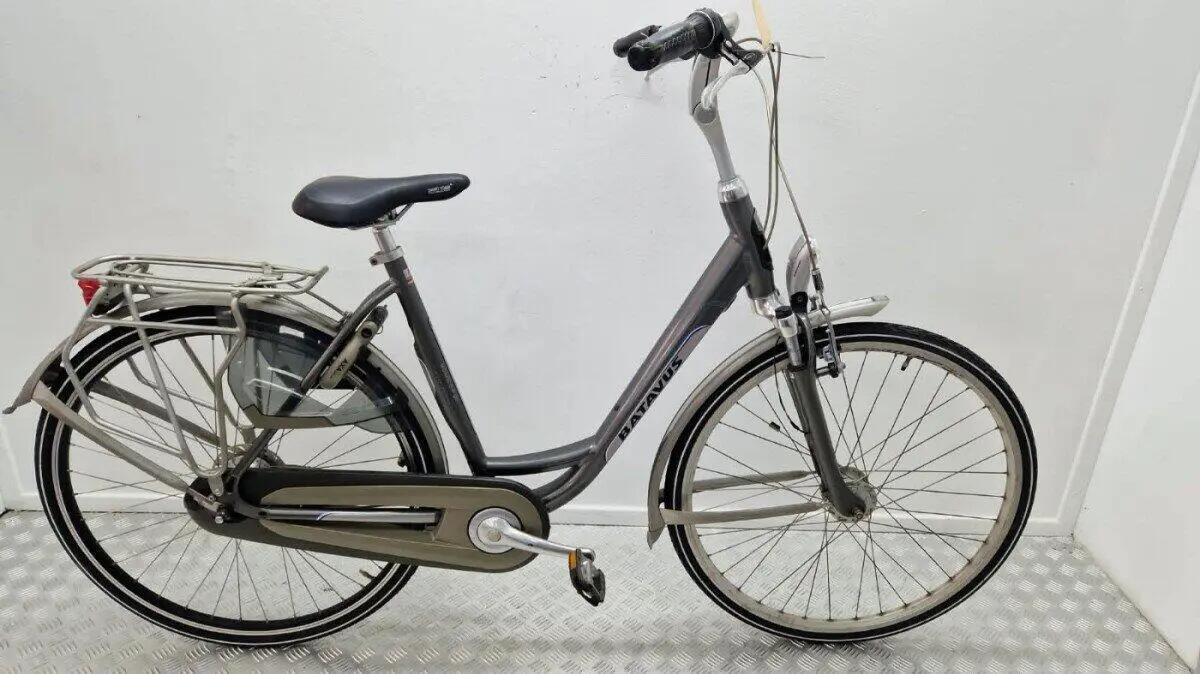 BATAVUS picture
