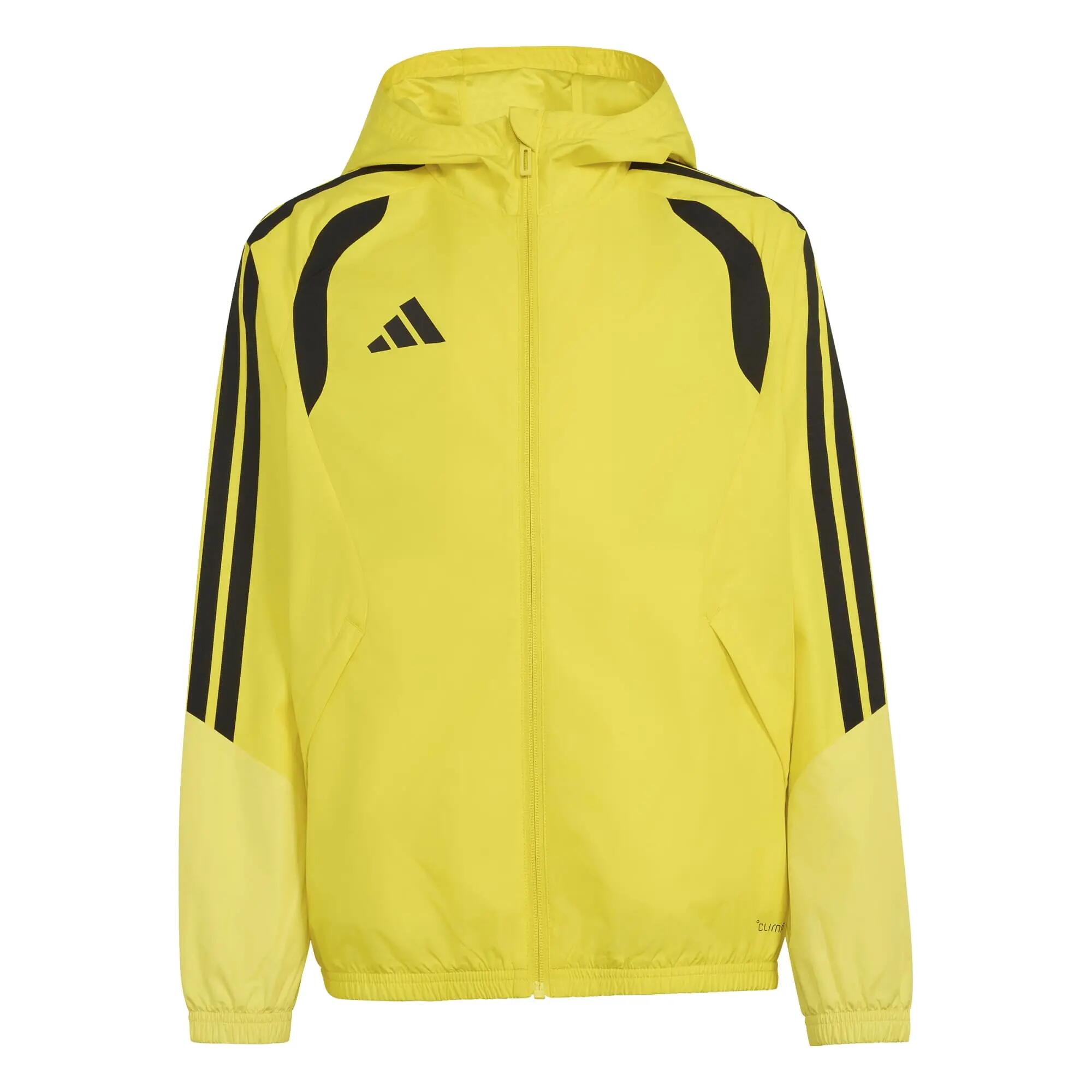 ADIDAS picture
