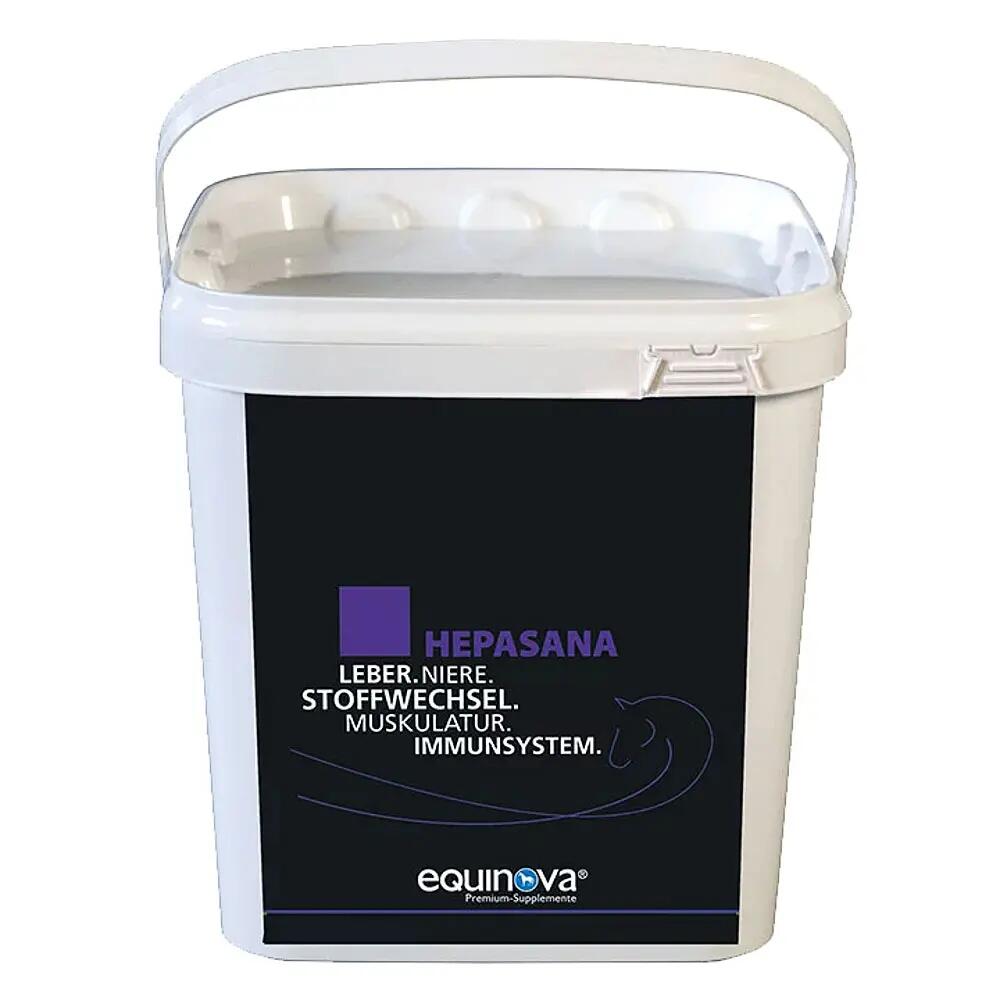EQUINOVA picture