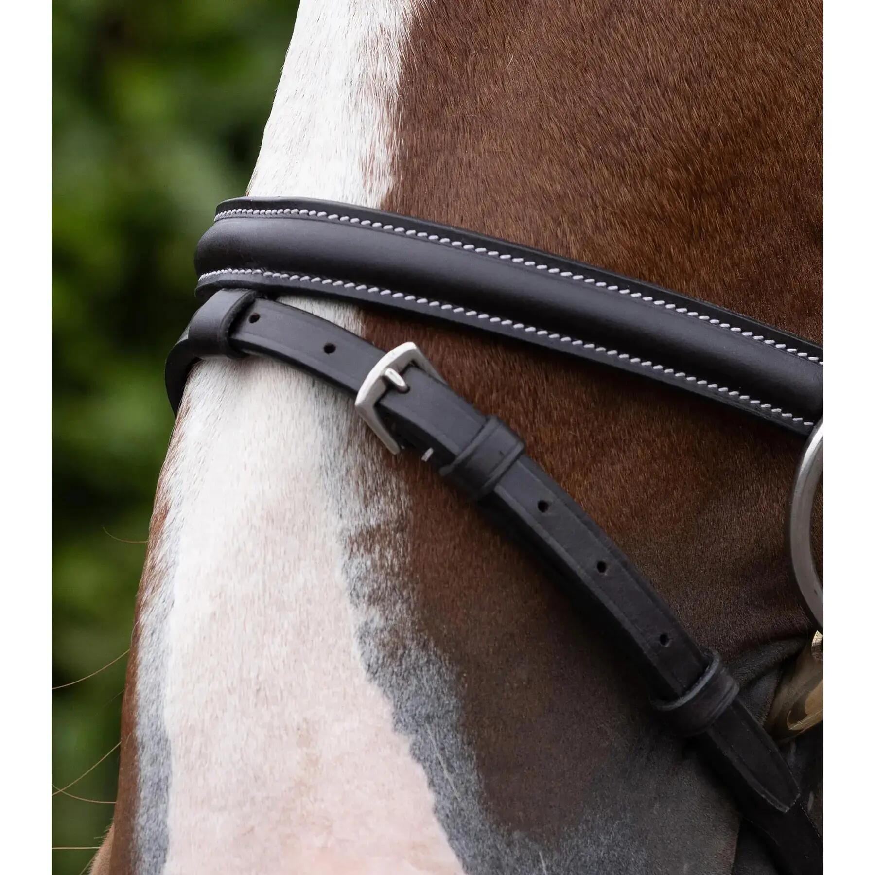 Muserolle cheval Premier Equine 6/6
