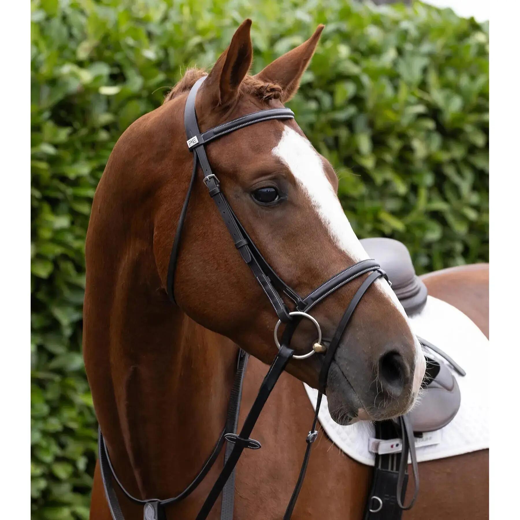 Muserolle cheval Premier Equine 5/6