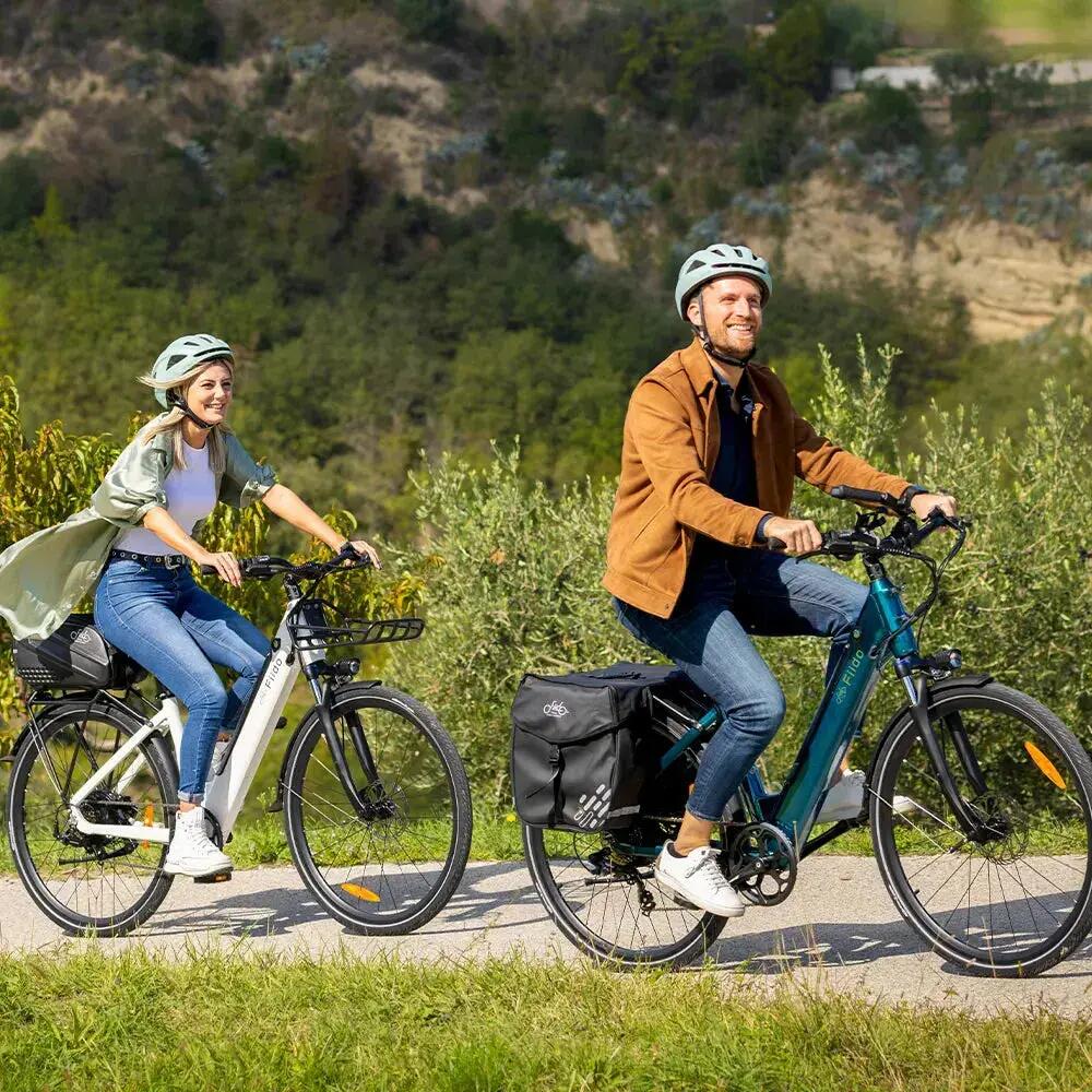 Fiido C11 - Smaragdblauw - 499Wh - Elektrische Stadsfiets 5/5