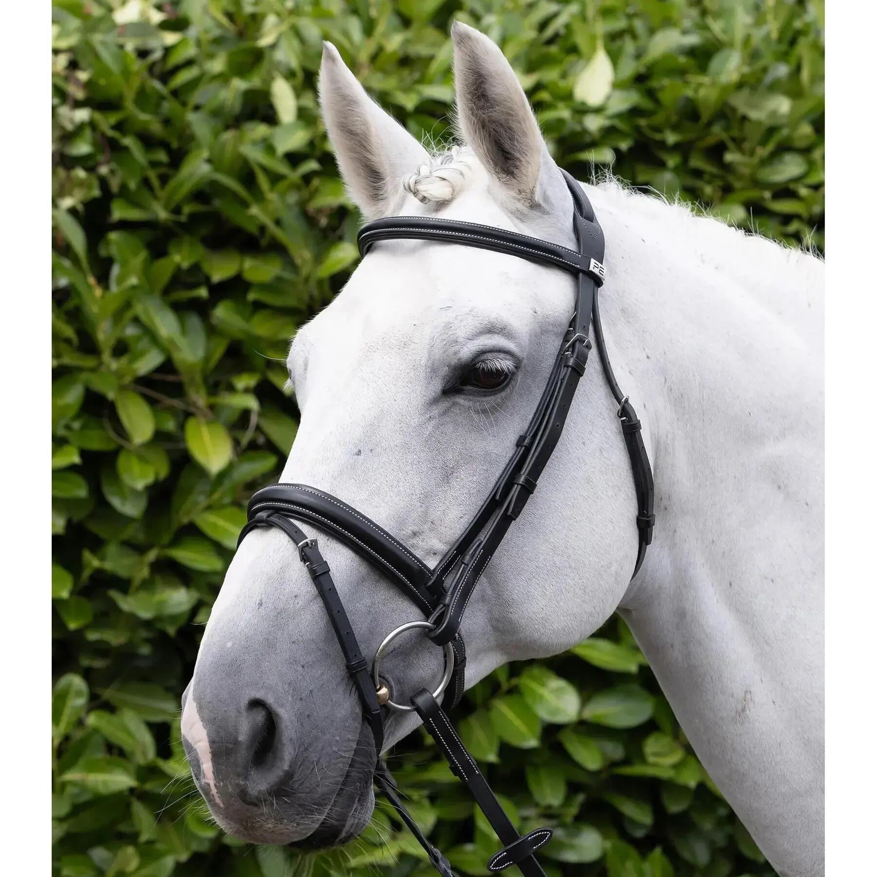 Muserolle cheval Premier Equine Pro Elevator 5/6