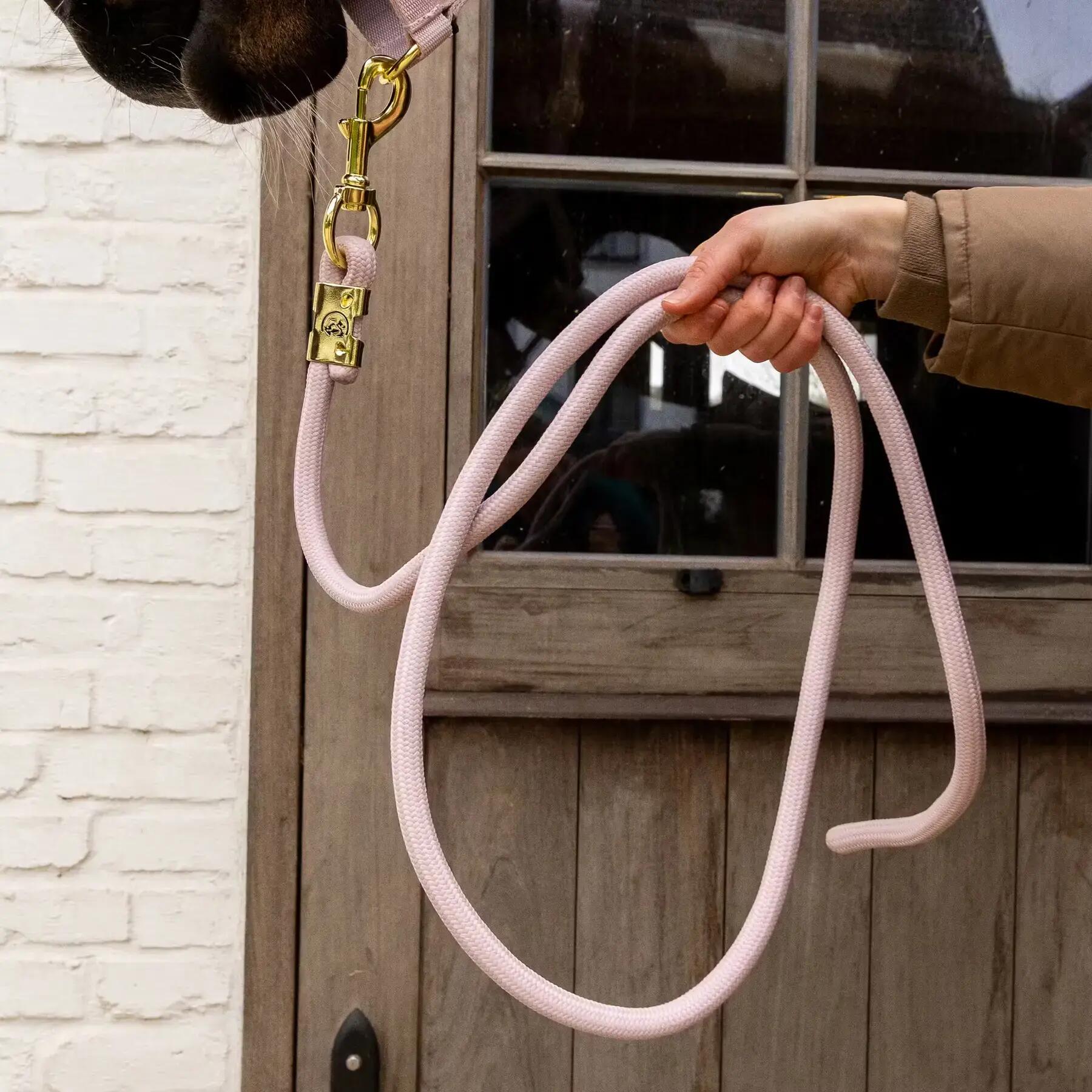 Longe équitation Kentucky Horsewear Basic 2/2