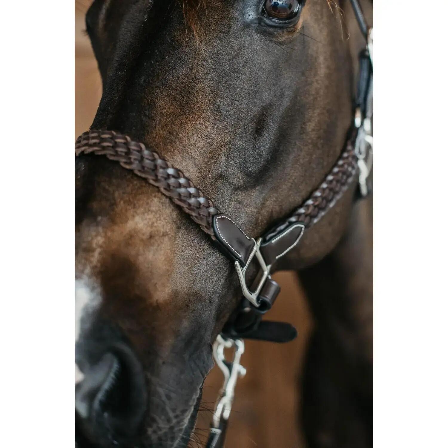 Licol tressé cuir pour cheval Dy'on 5/5