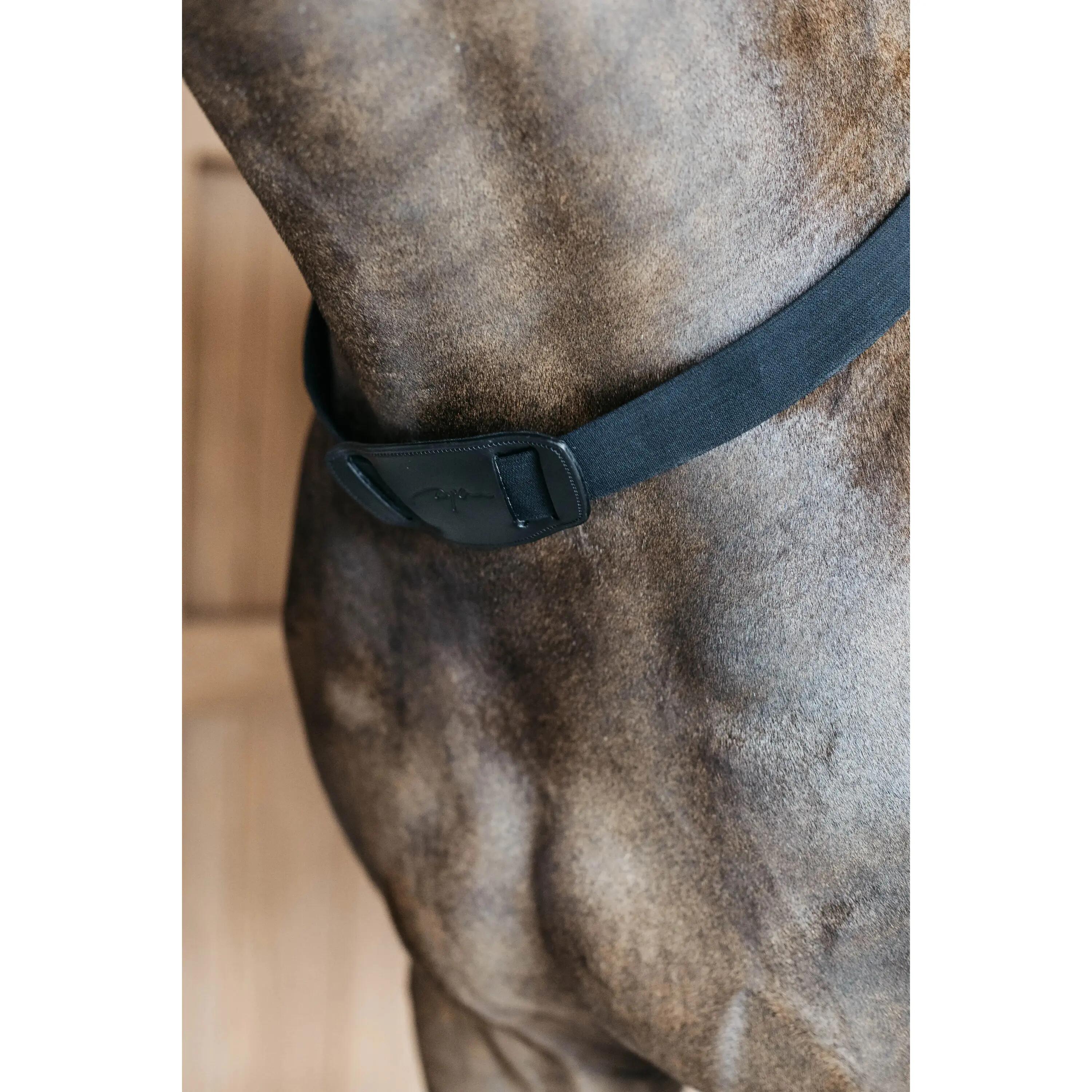 Pettorale elastico Dy'on 2/2
