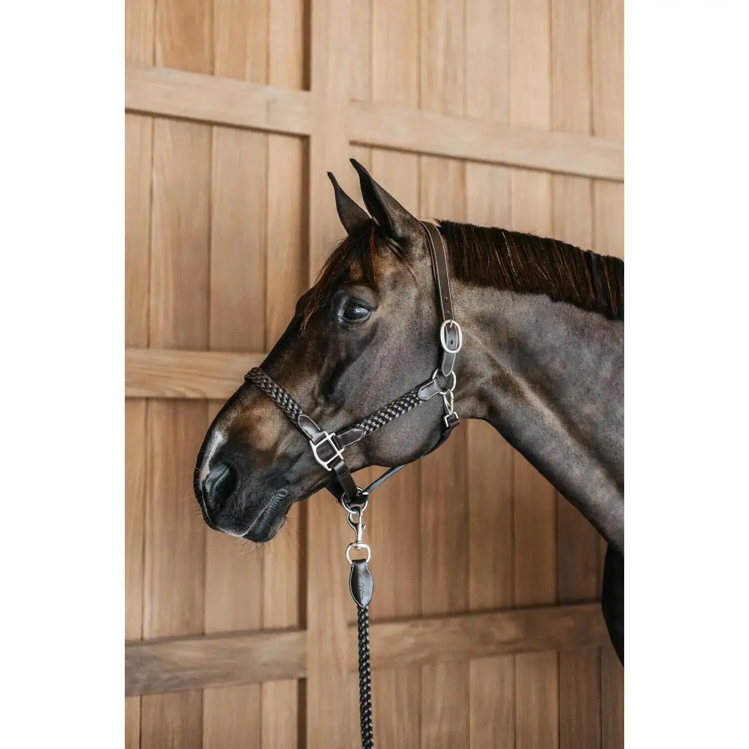 Licol tressé cuir pour cheval Dy'on 2/5
