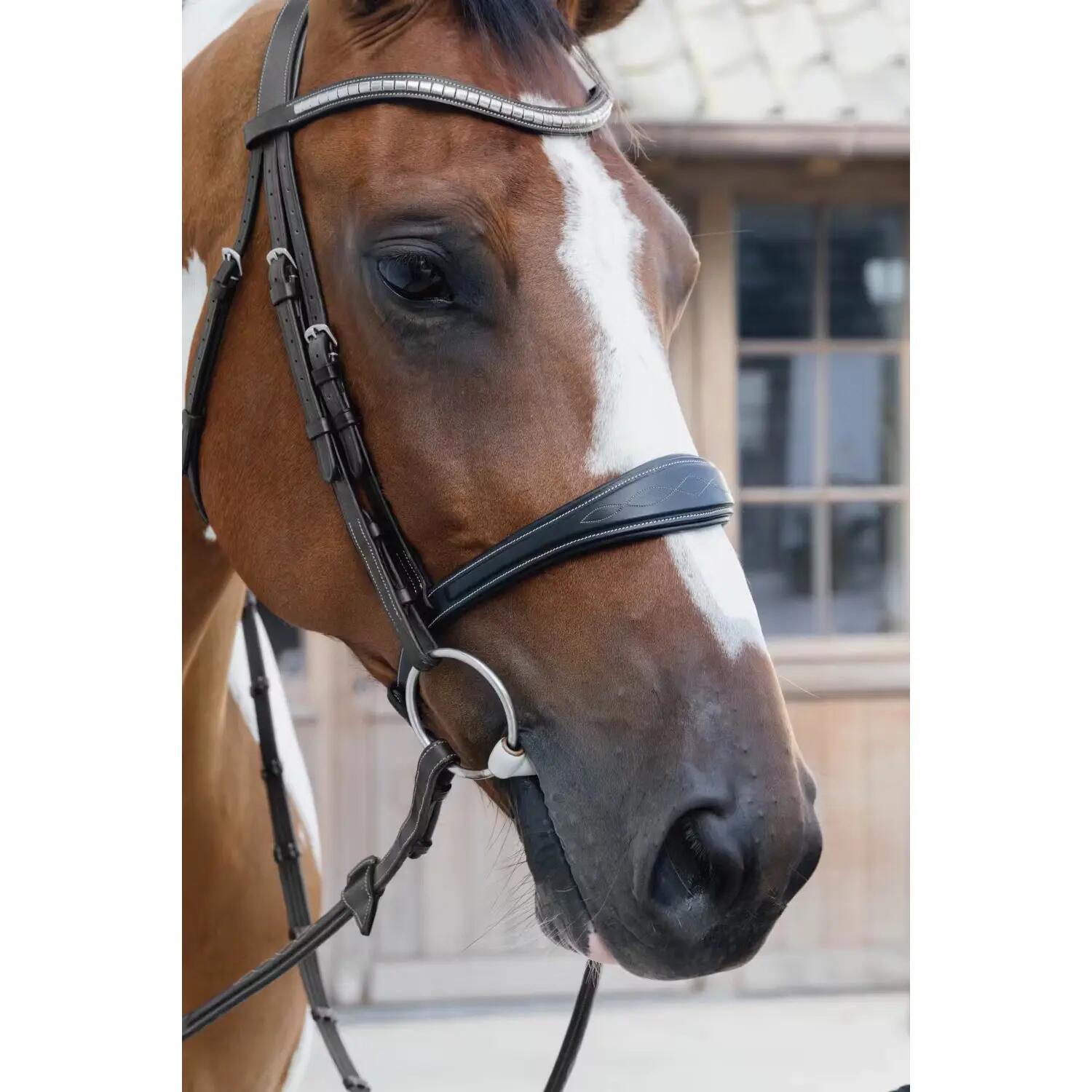 Muserolle cheval sans sous barbe anatomique cuir Dy'on 3/3