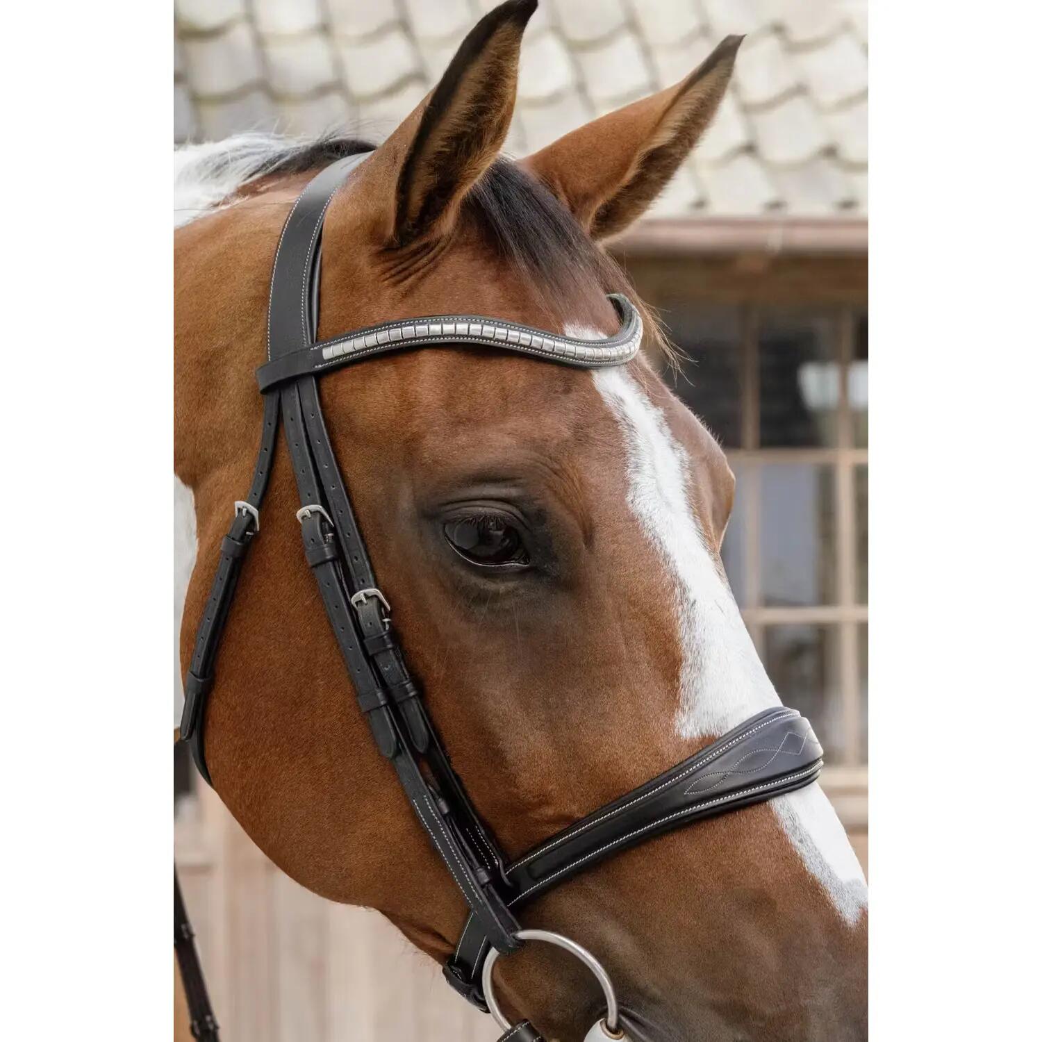 Muserolle cheval sans sous barbe anatomique cuir Dy'on 2/3