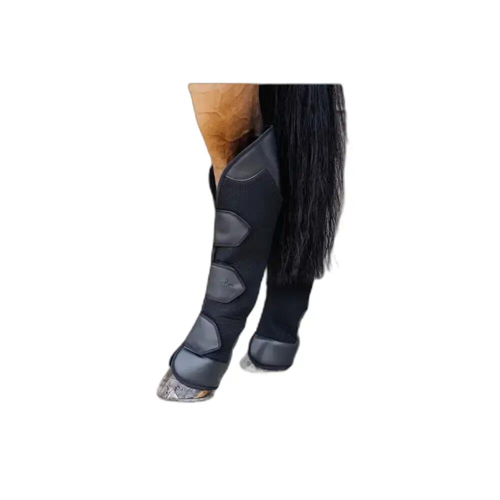 KENTUCKY HORSEWEAR picture