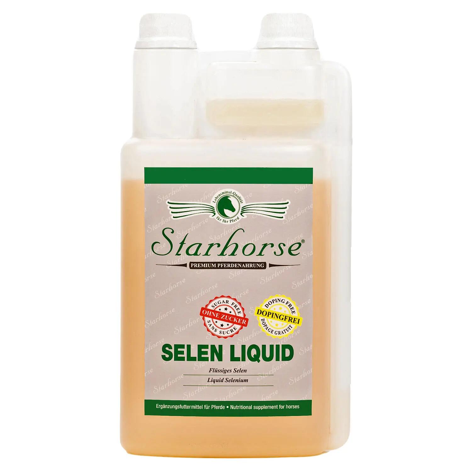 STARHORSE picture