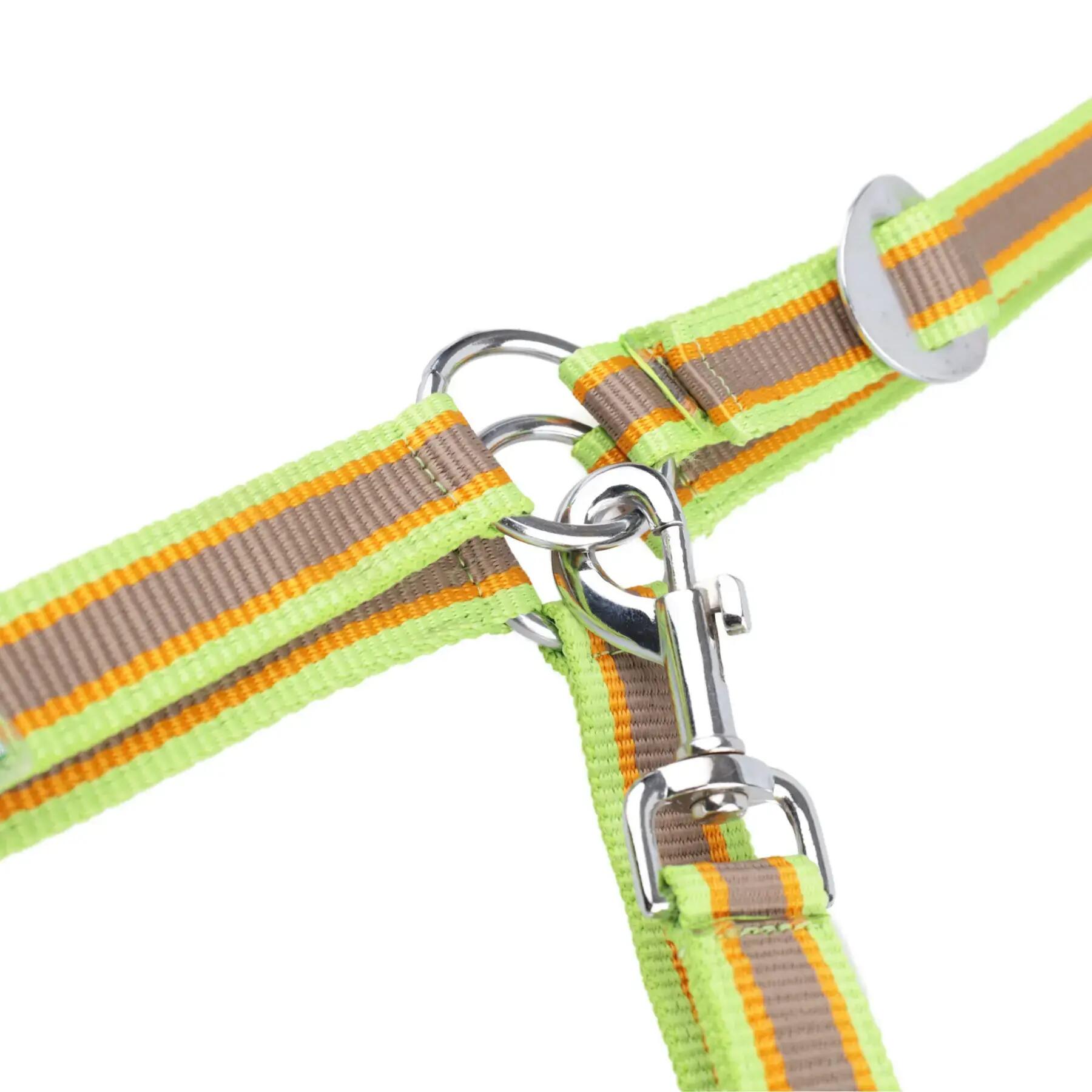 Licol pour cheval USG Basic 2/4