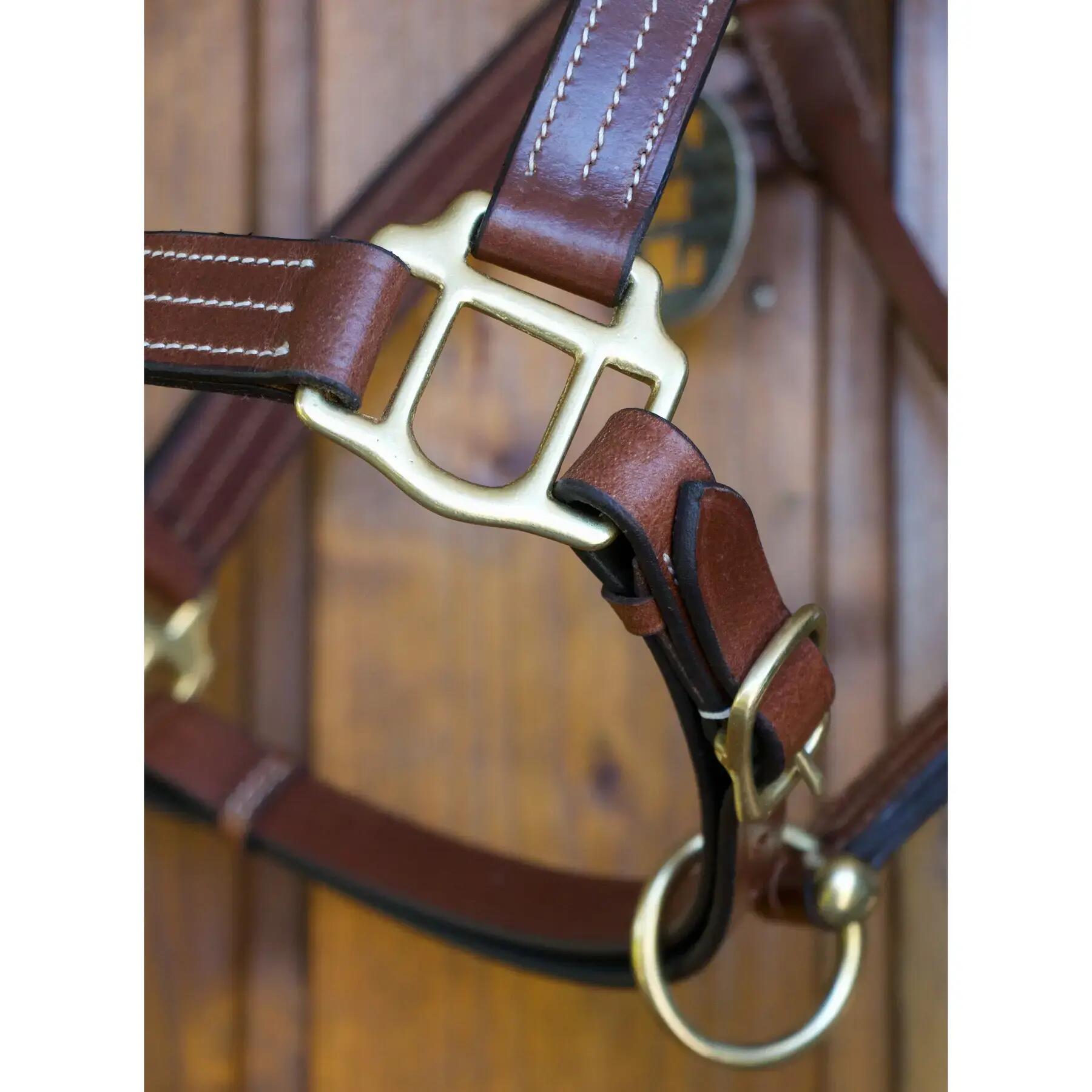 Licol pour cheval en cuir T de T Trippled Stiched 2/2