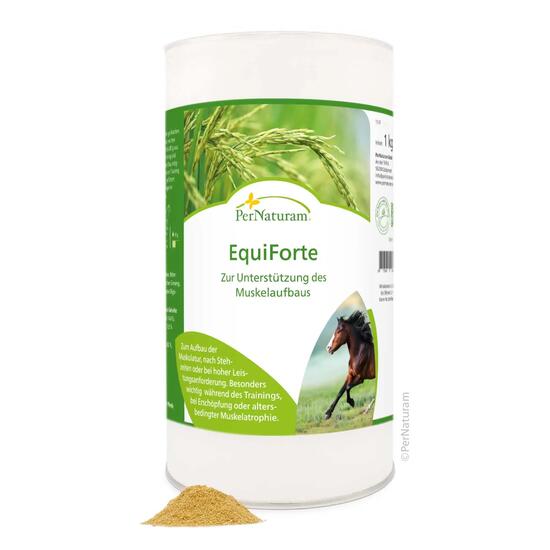 EquiForte - Muskelaufbau Pferd