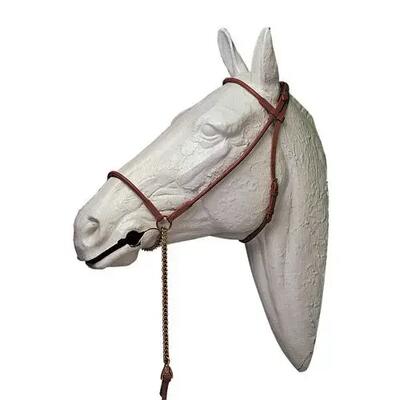 Halster voor paarden lexhis