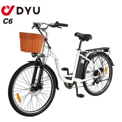 C6 elektrische fiets volwassenen 36v12,5ah 26 inch