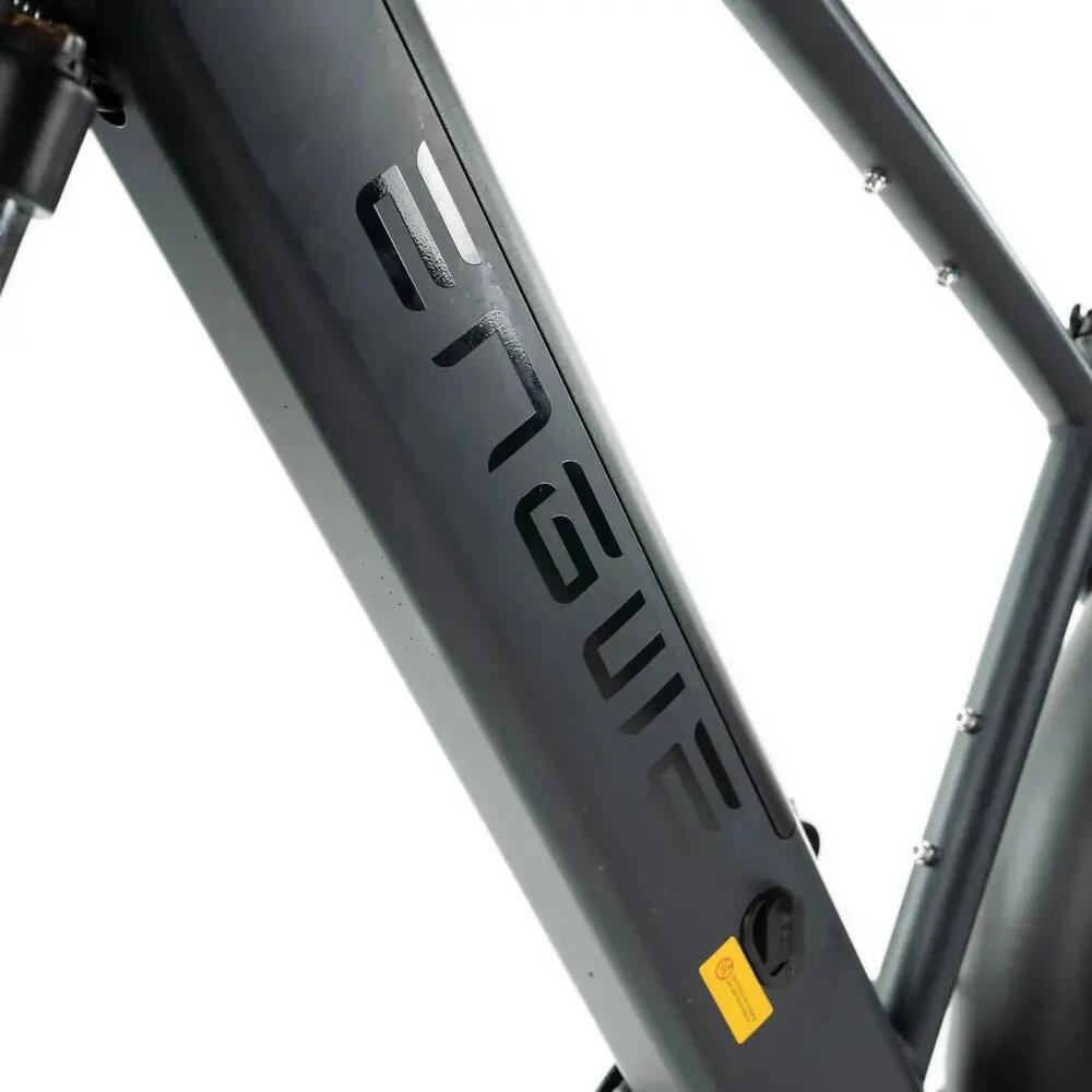 E26 - Elektrische Fatbike - 26 inch - 250W motor - Zwart - Kettingslot cadeau 6/7