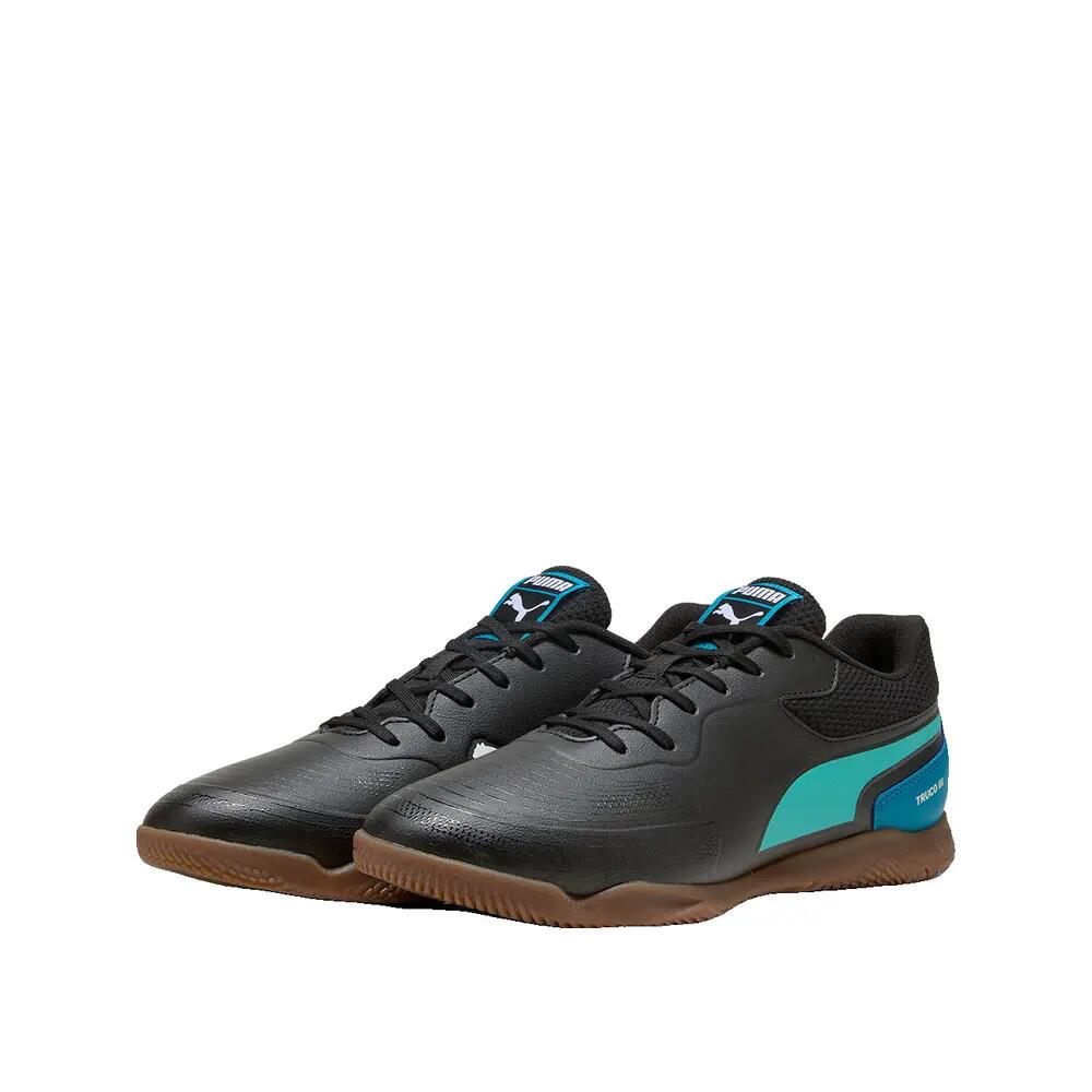PUMA picture