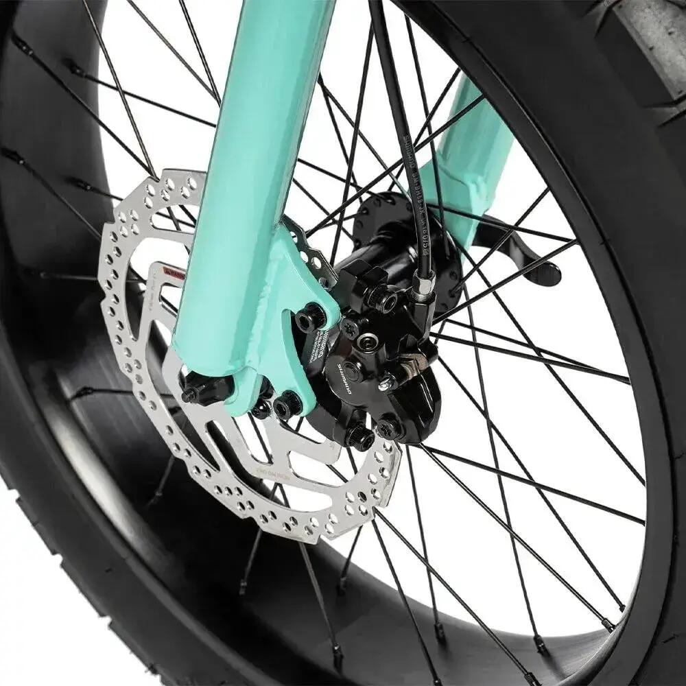 Ruff Ciclos - Lil'Missy - Elétrica Fatbike - Azevinho 7/7
