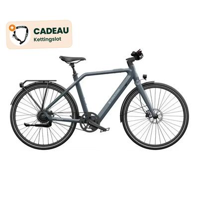 Air 30 ultra - elektrische fiets - 28 inch - 250w - riemaandrijving - grijs